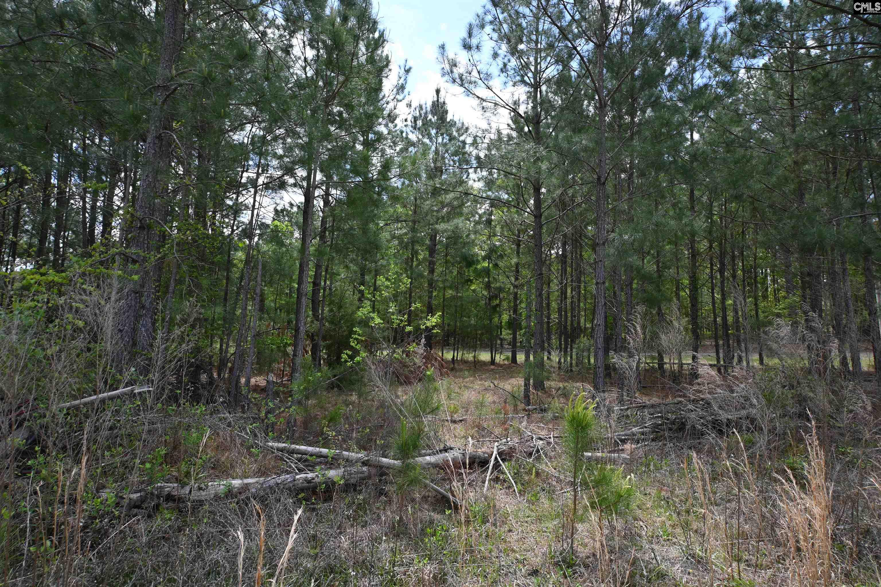 Platt Springs Road West Columbia, SC 29169