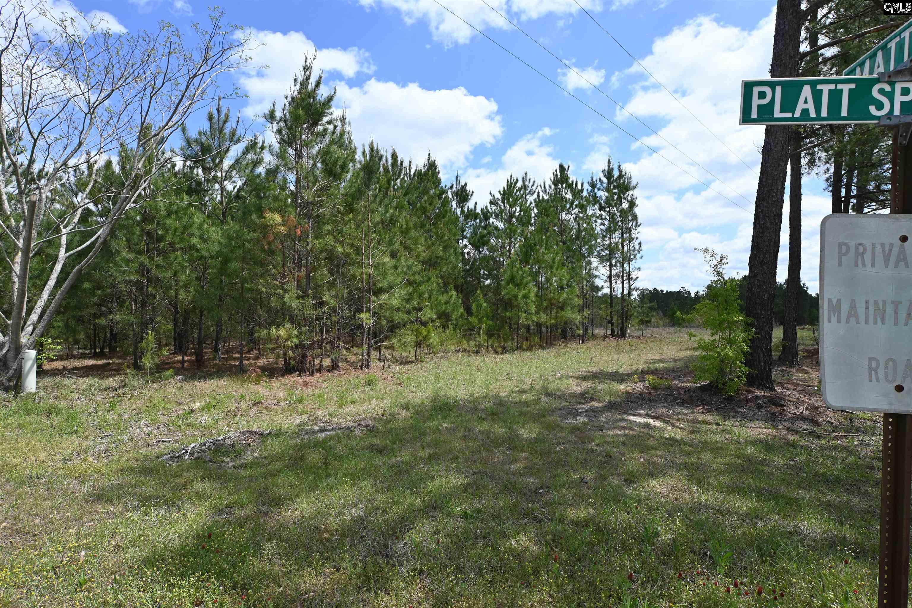 Platt Springs Road West Columbia, SC 29169