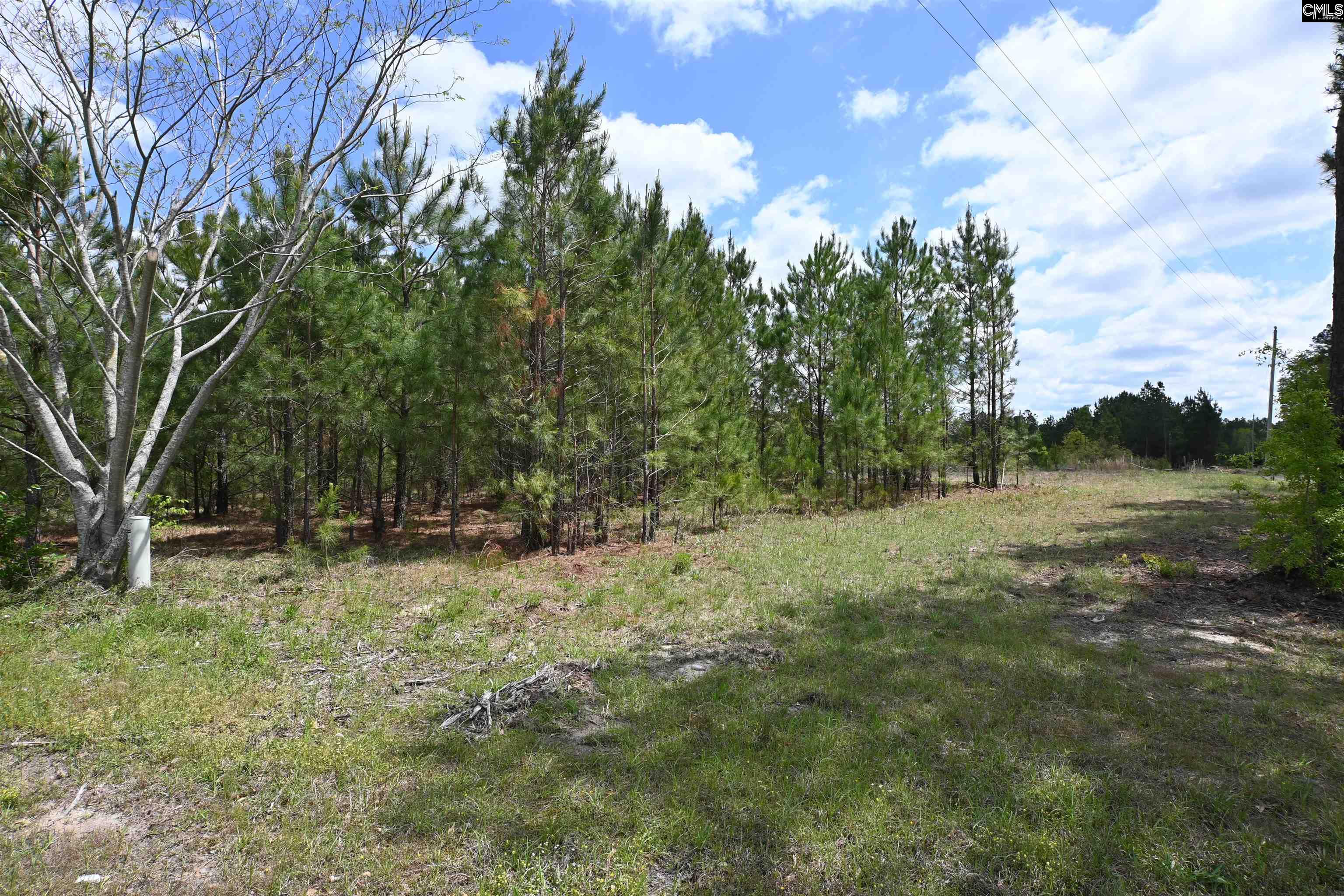Platt Springs Road West Columbia, SC 29169