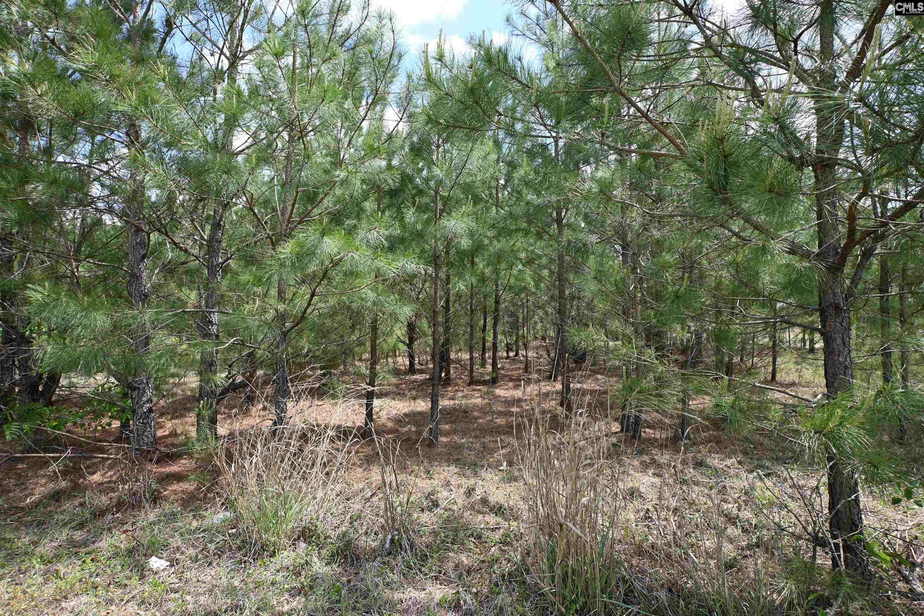 Platt Springs Road West Columbia, SC 29169