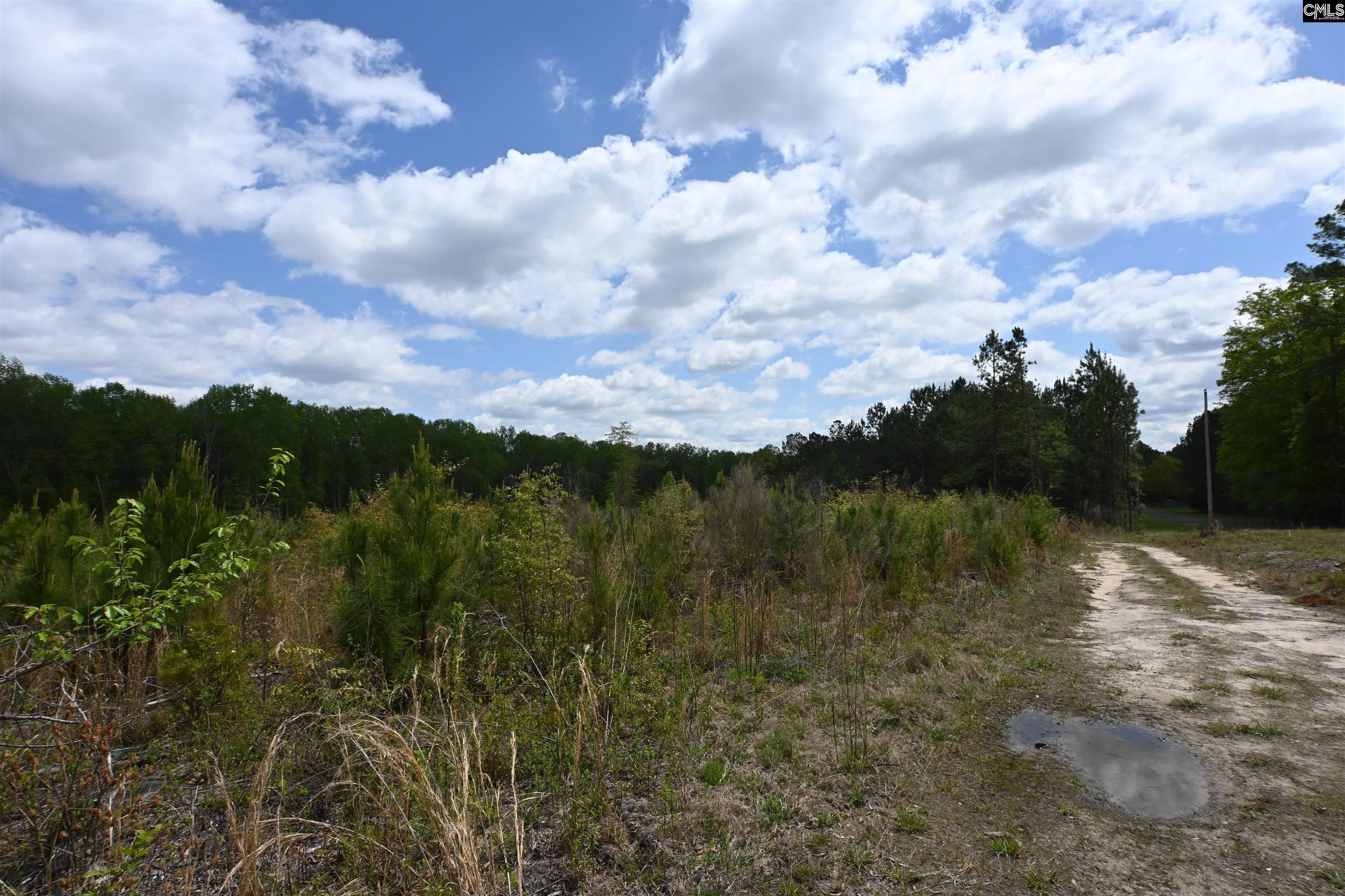 Platt Springs Road West Columbia, SC 29169