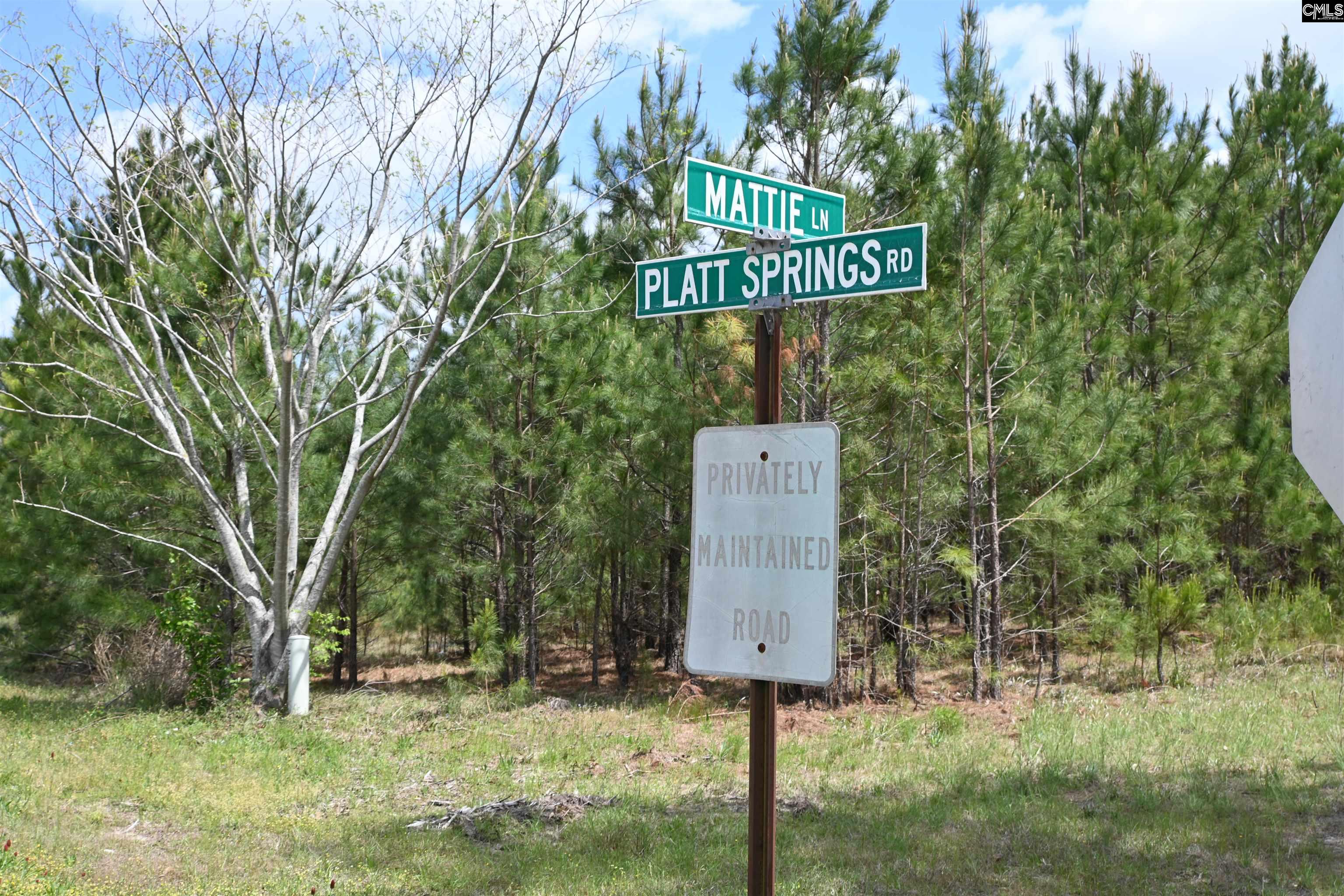 Platt Springs Road West Columbia, SC 29169