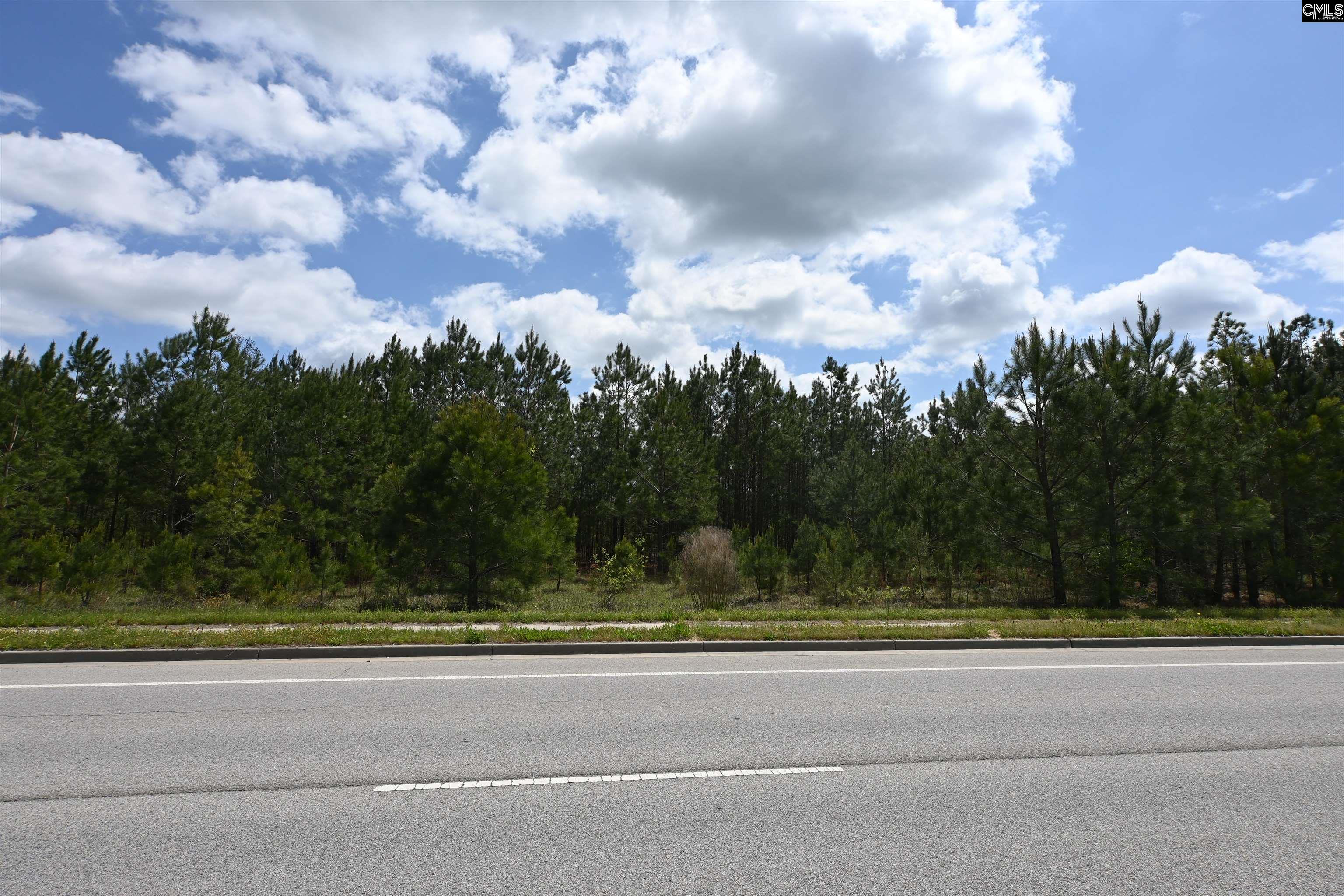 Platt Springs Road West Columbia, SC 29169