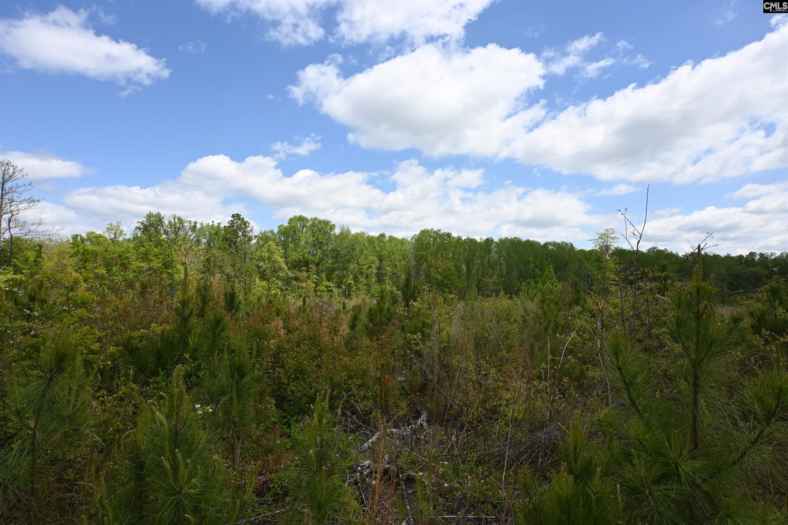 Platt Springs Road West Columbia, SC 29169