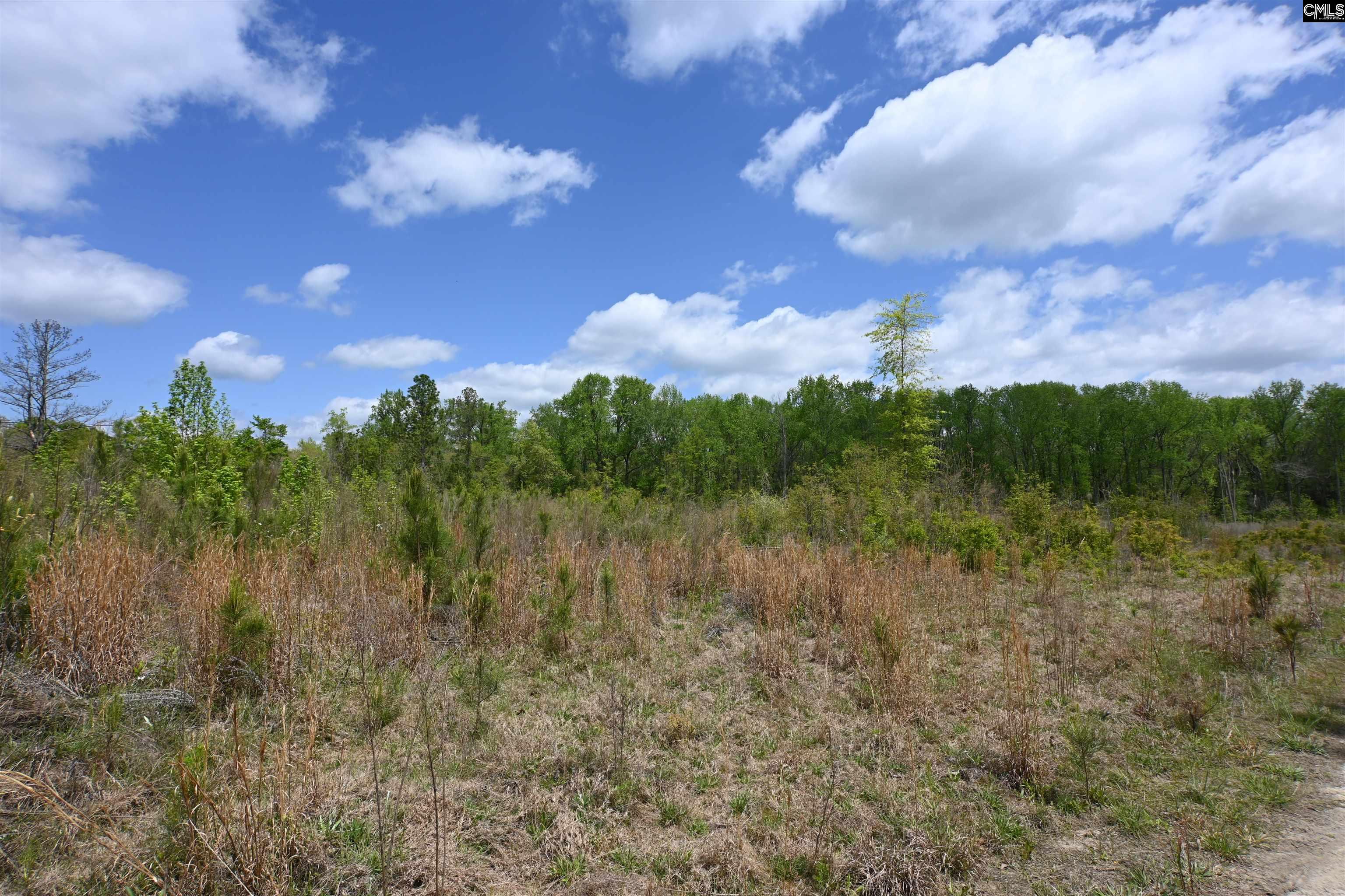 Platt Springs Road West Columbia, SC 29169