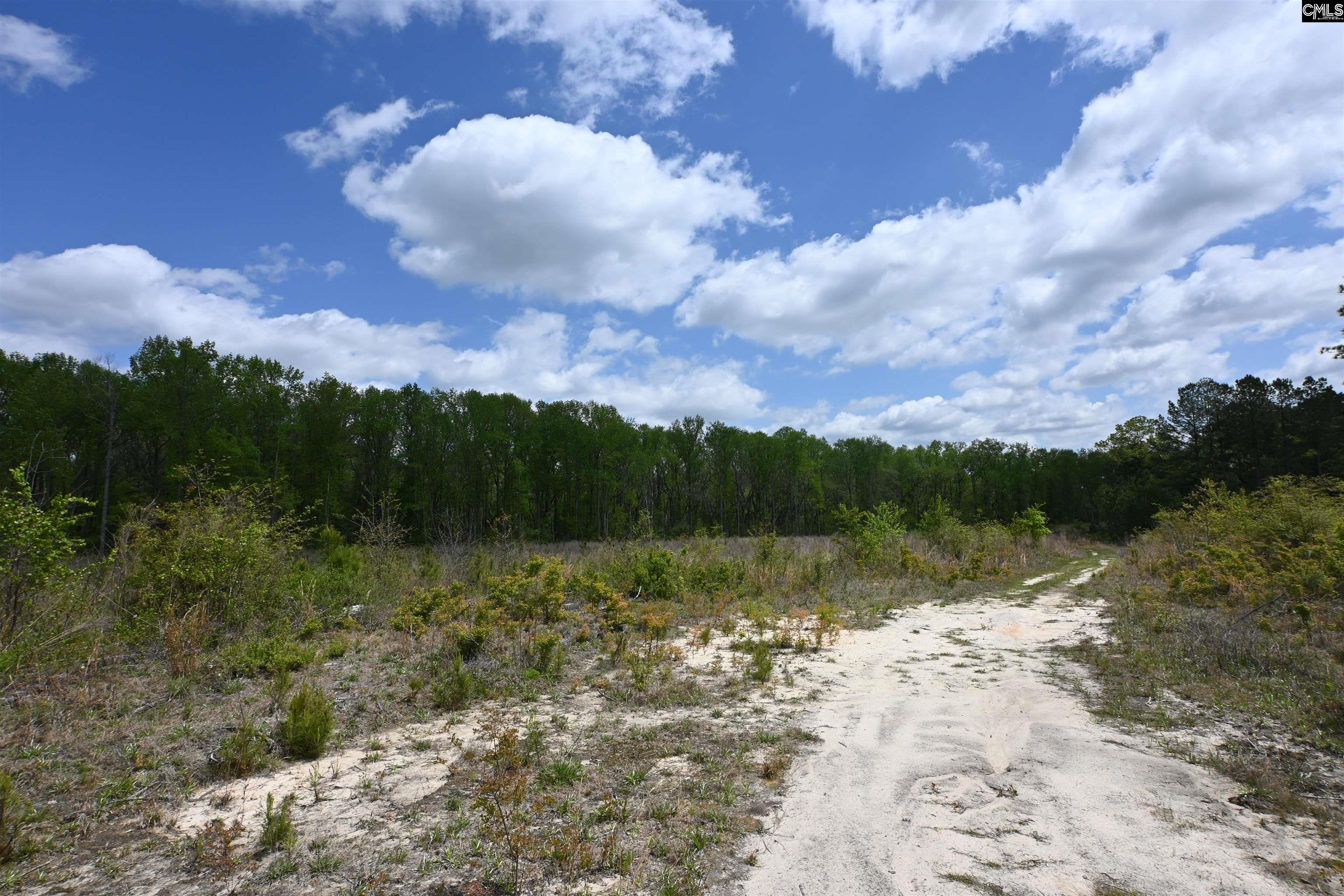 Platt Springs Road West Columbia, SC 29169