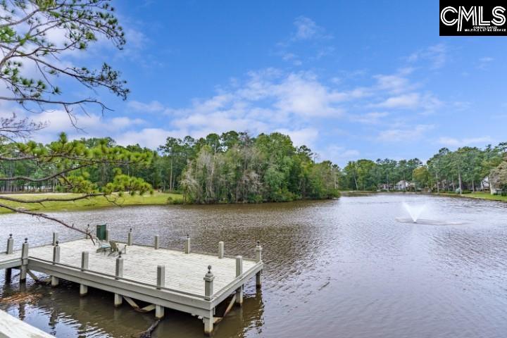 14 Shadow Creek Court Columbia, SC 29209