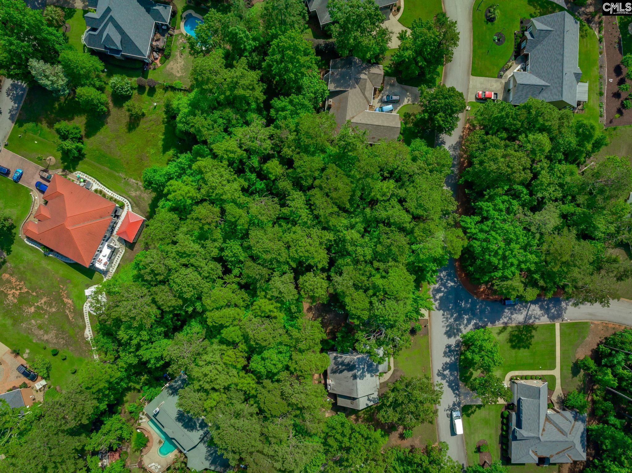 506 Timberlake Drive Chapin, SC 29036