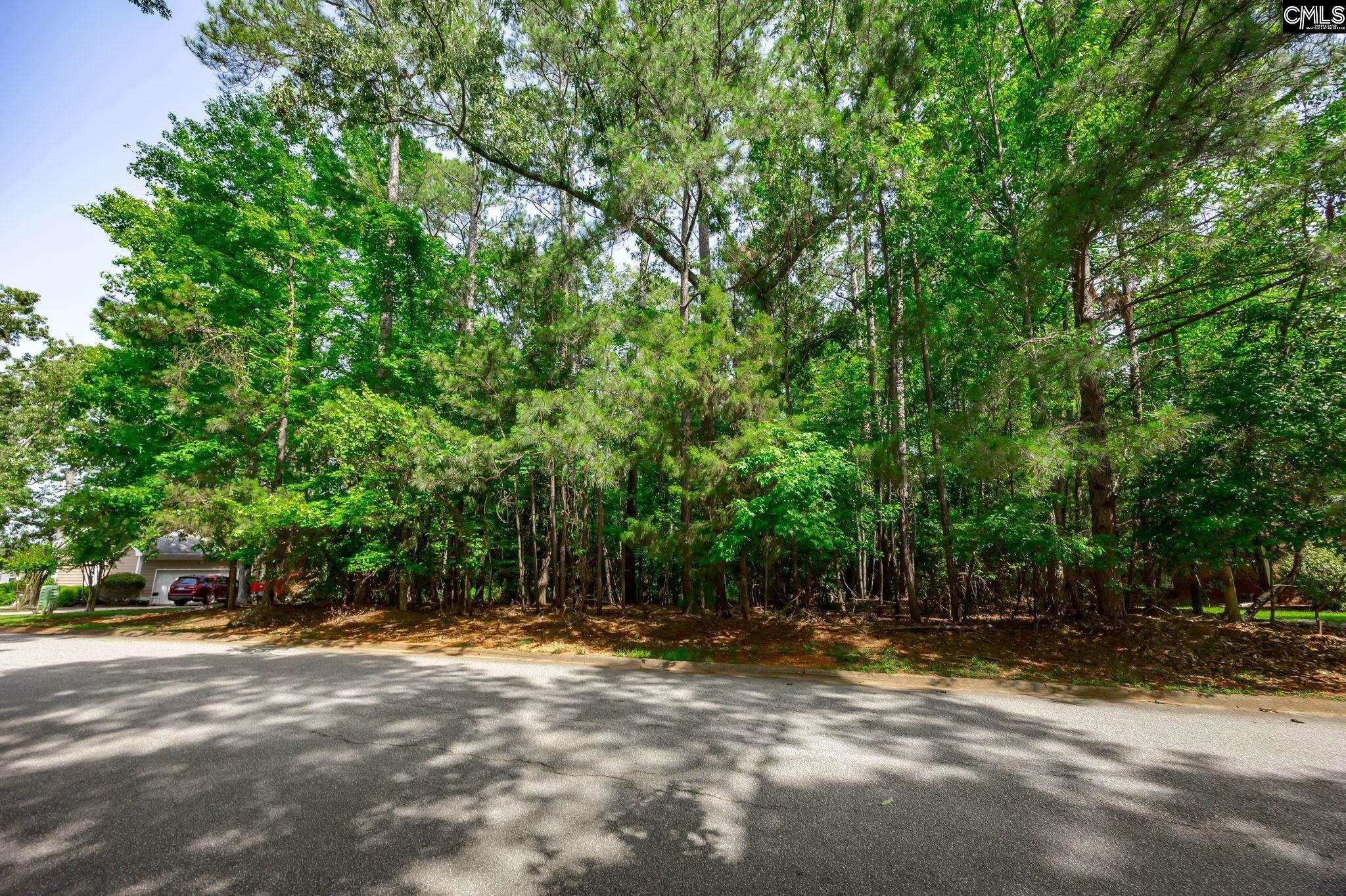 506 Timberlake Drive Chapin, SC 29036