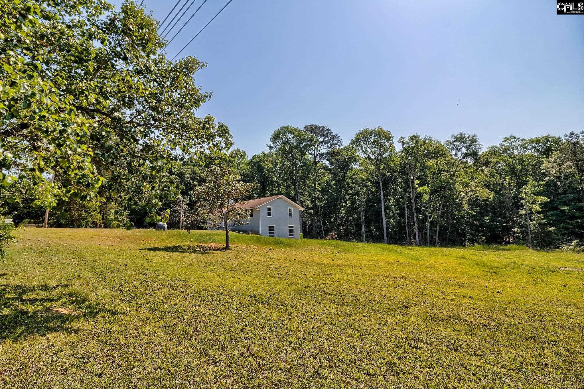 1133 Old Hilton Road Chapin, SC 29036