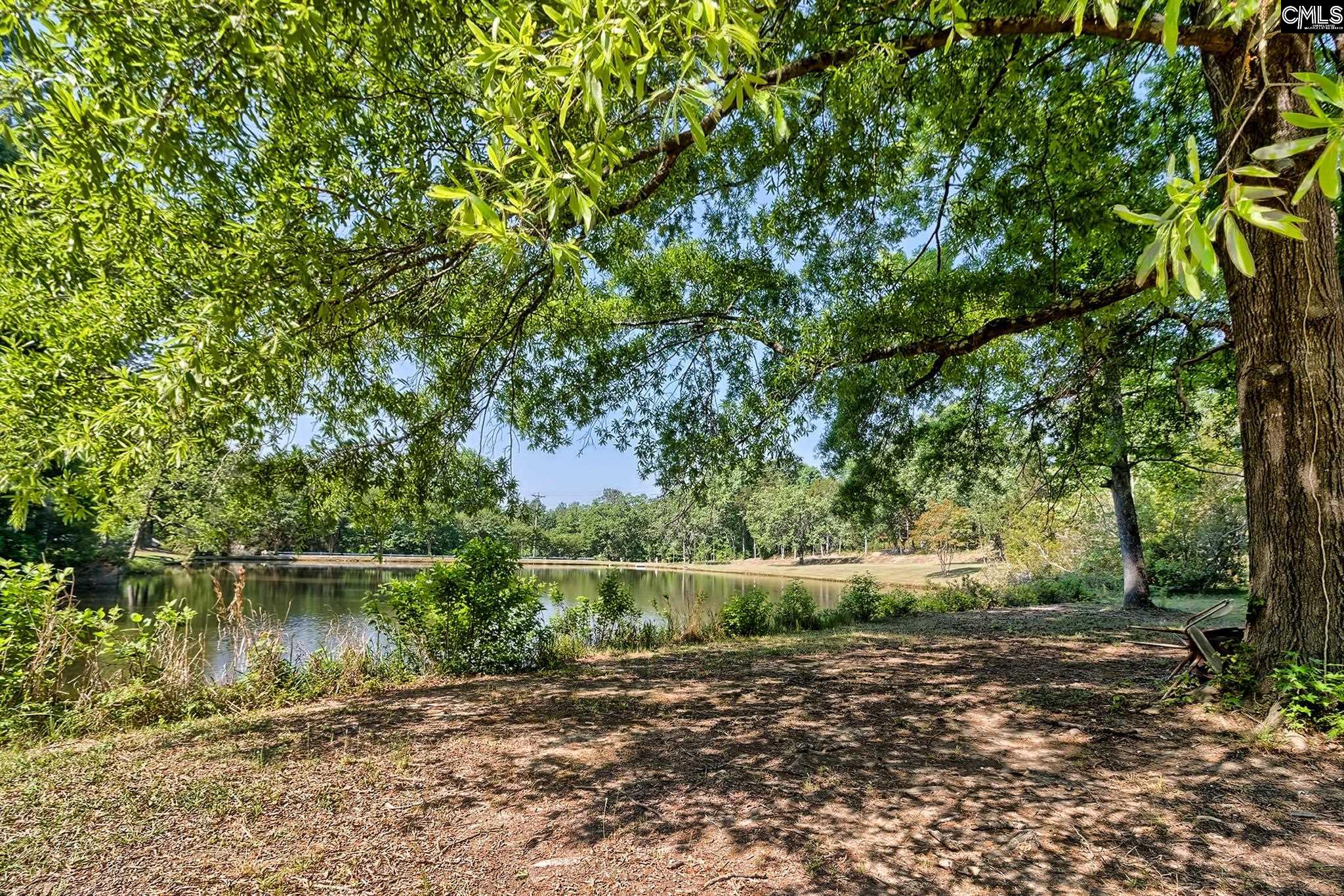 1133 Old Hilton Road Chapin, SC 29036