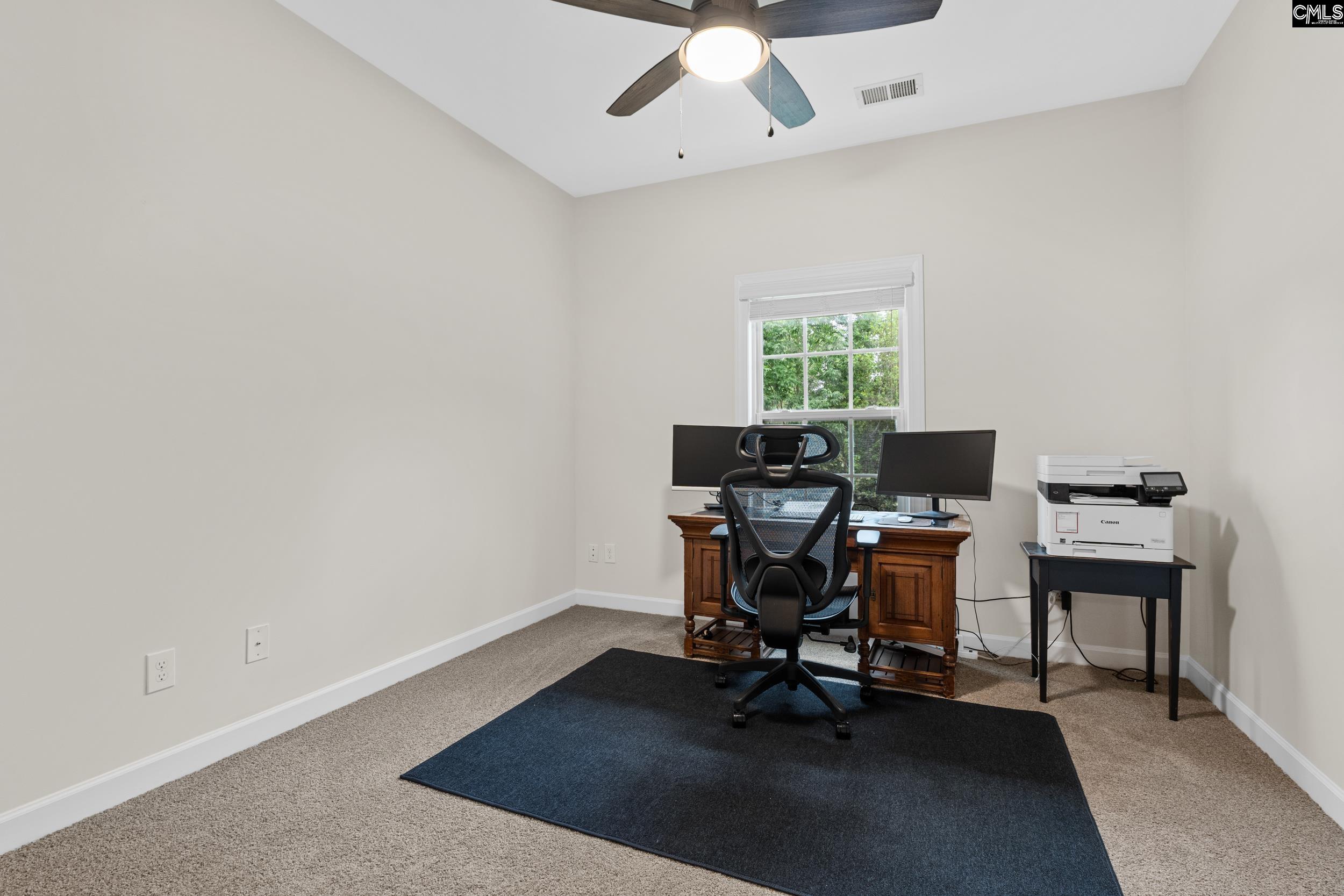 145 Indian Grass Drive Chapin, SC 29036