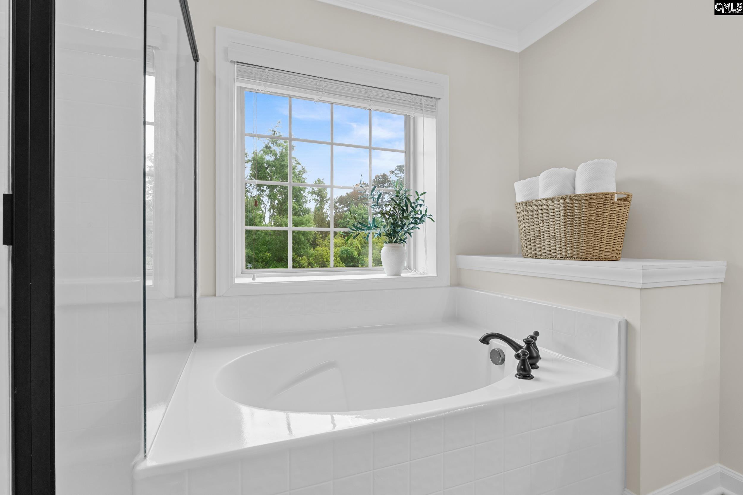145 Indian Grass Drive Chapin, SC 29036
