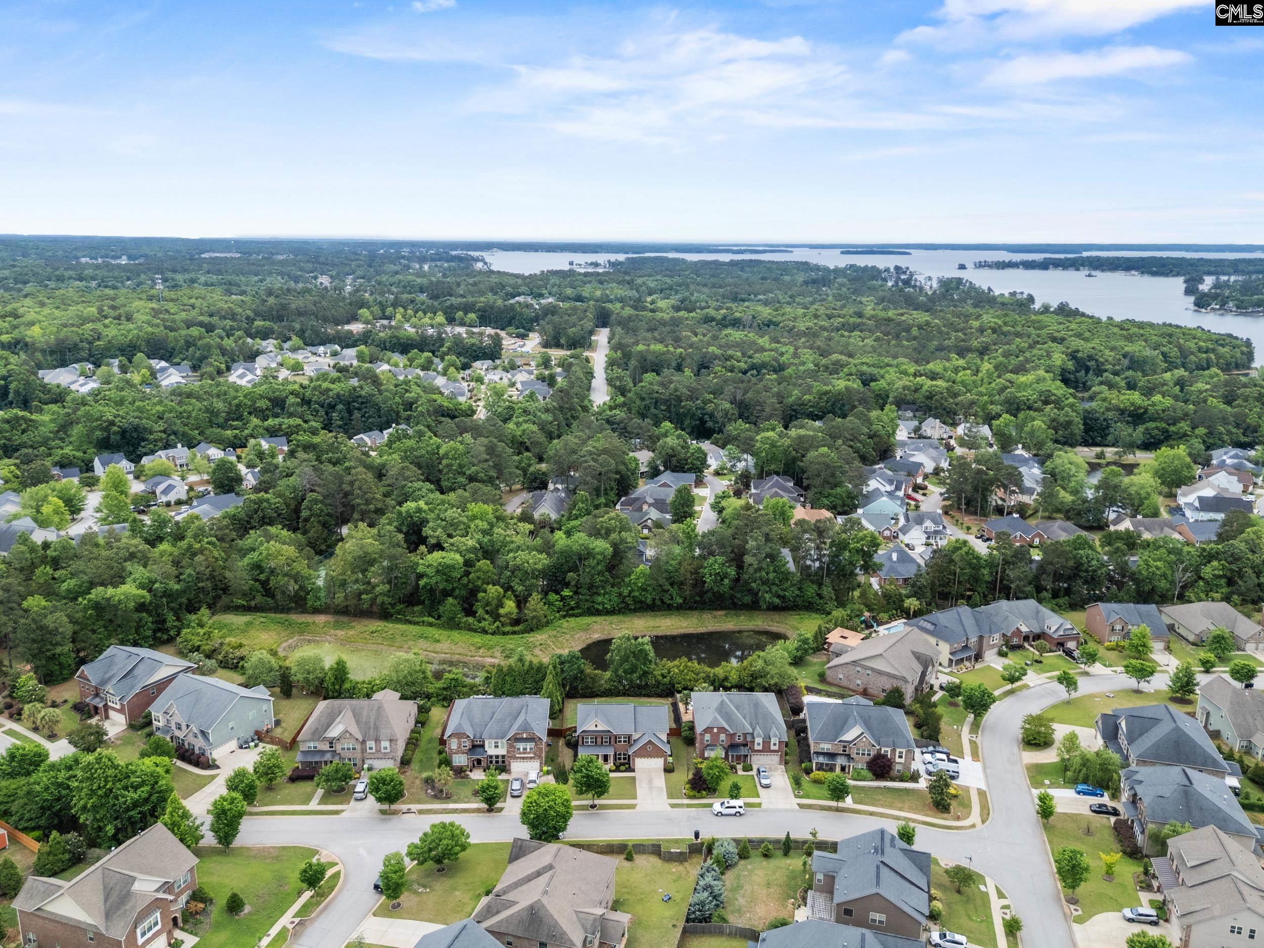 145 Indian Grass Drive Chapin, SC 29036
