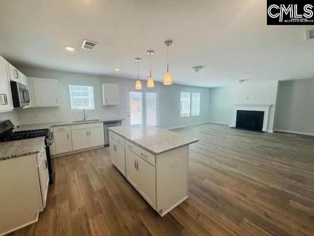 2072 County Line Trail Elgin, SC 29045