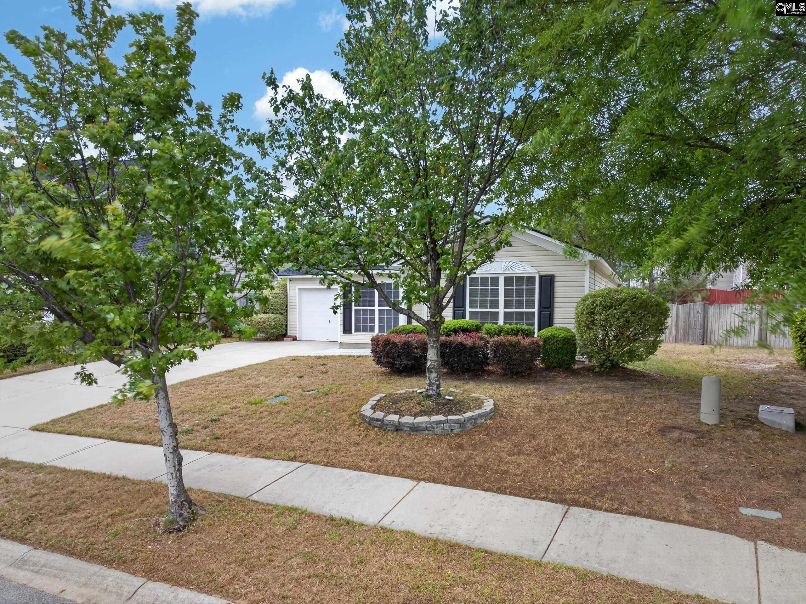 809 Wing Stripe Court Columbia, SC 29229