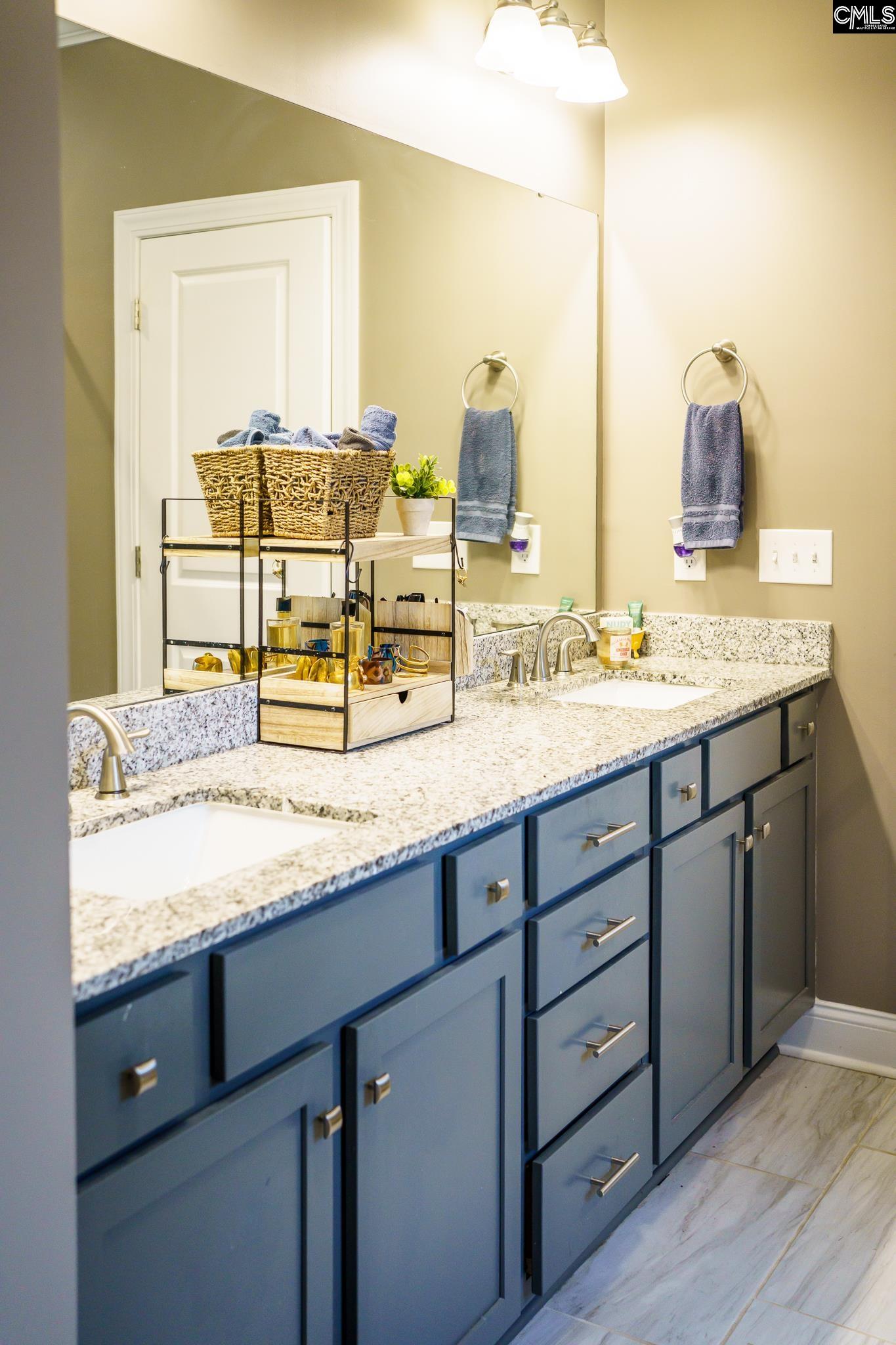 303 Pine Meadow Drive Chapin, SC 29036
