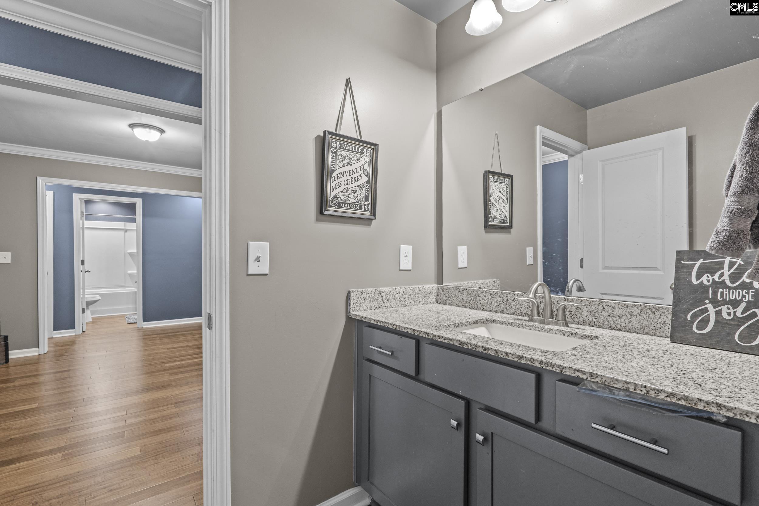 303 Pine Meadow Drive Chapin, SC 29036