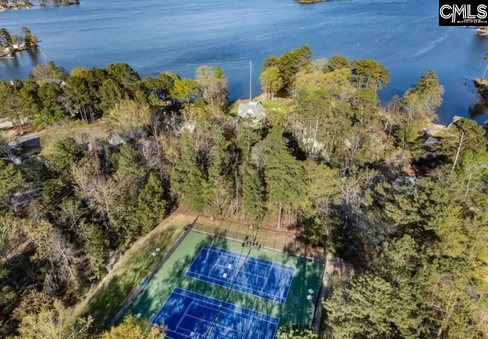 303 Pine Meadow Drive Chapin, SC 29036