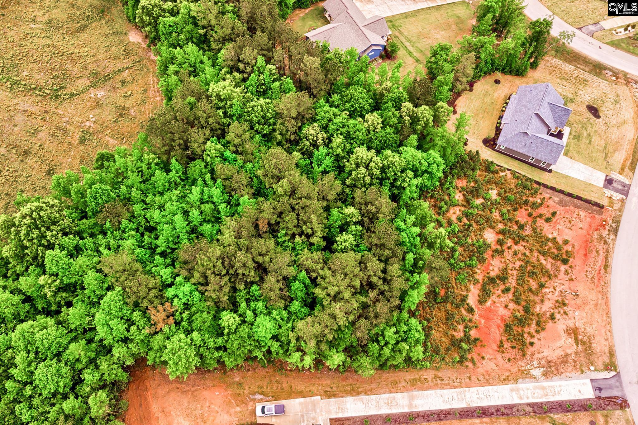 Clouds Creek Circle UNIT #88 Leesville, SC 29138