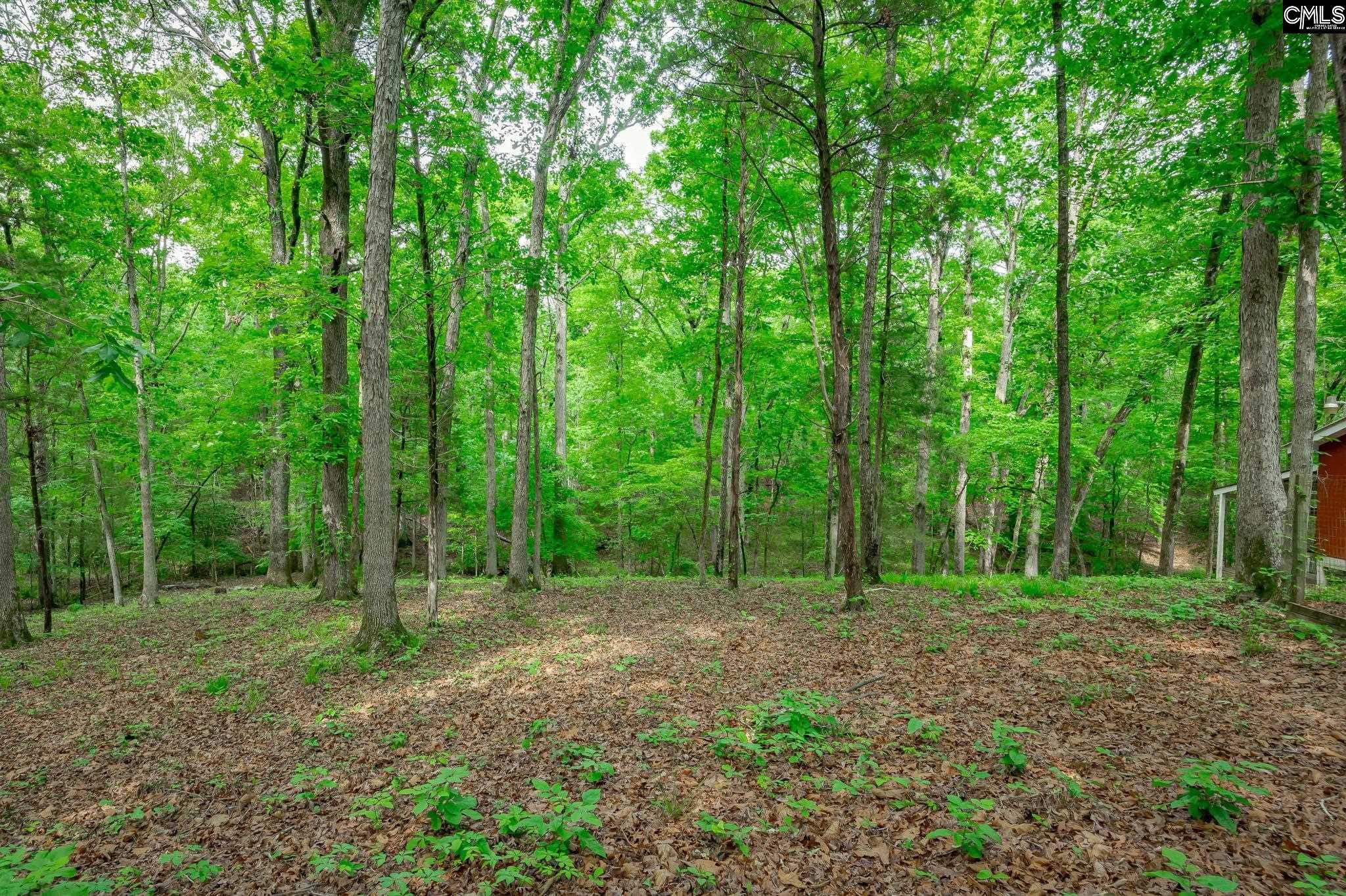 151 Eagle Chase Court Chapin, SC 29036