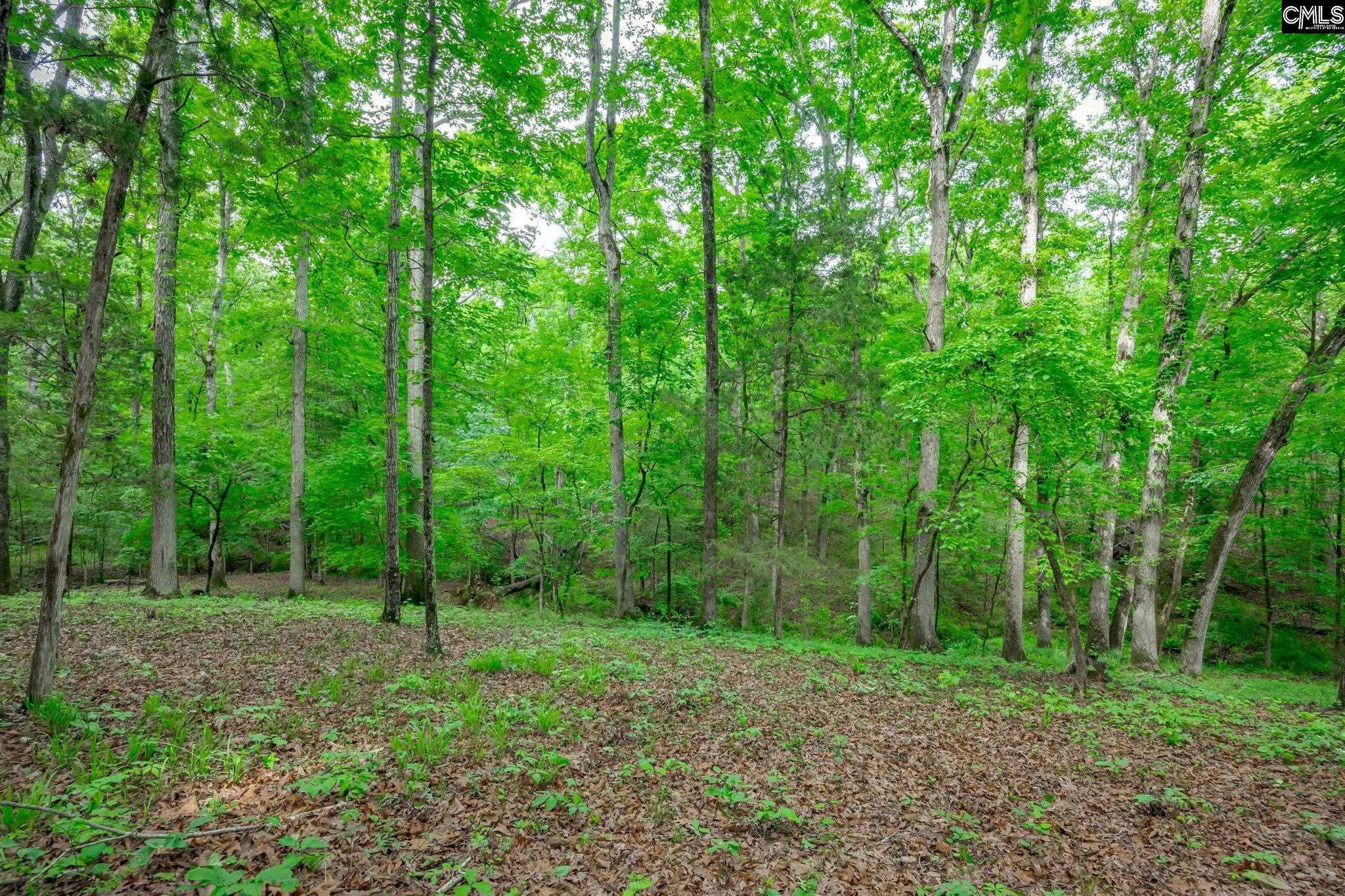 151 Eagle Chase Court Chapin, SC 29036