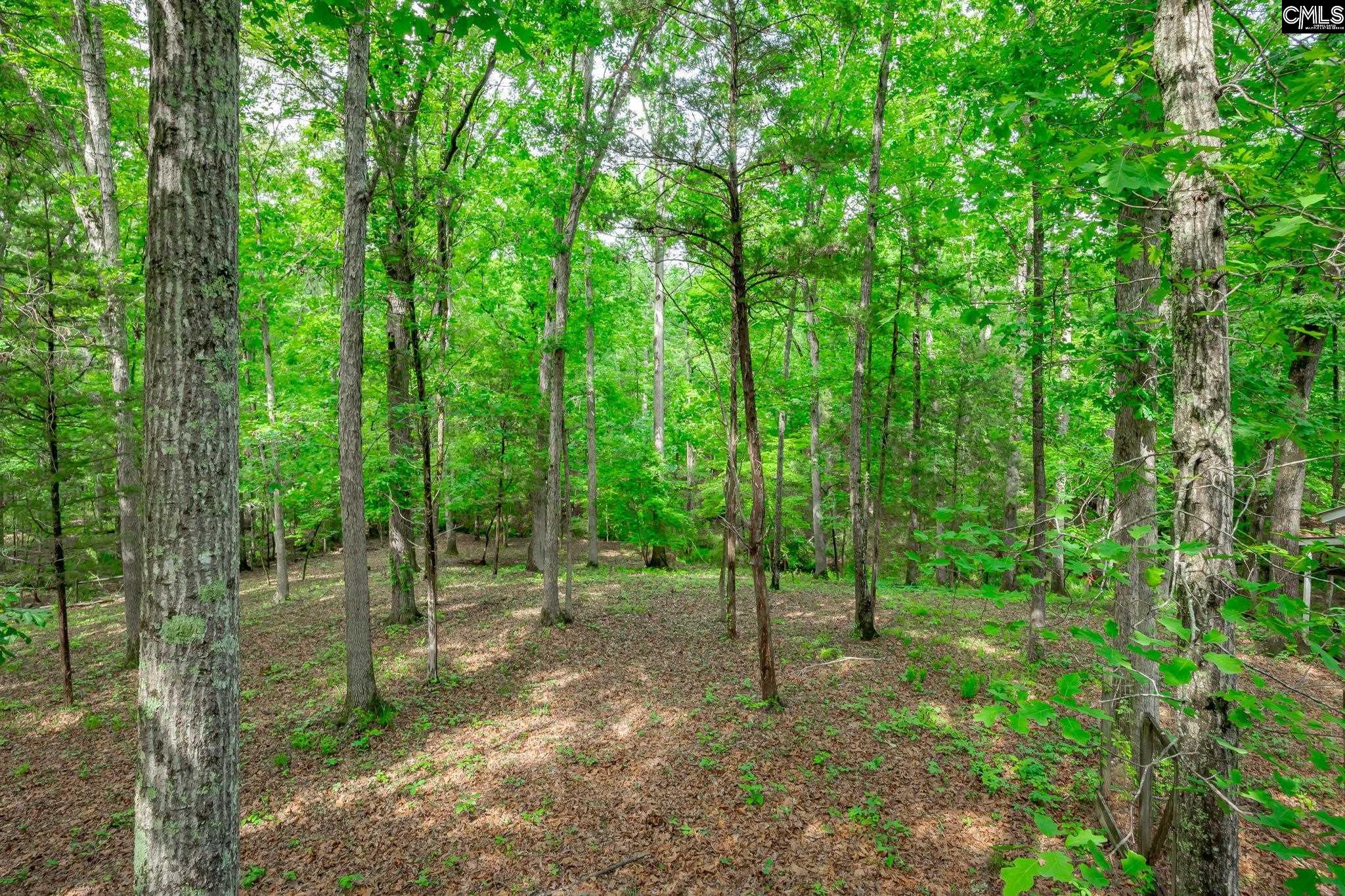 151 Eagle Chase Court Chapin, SC 29036