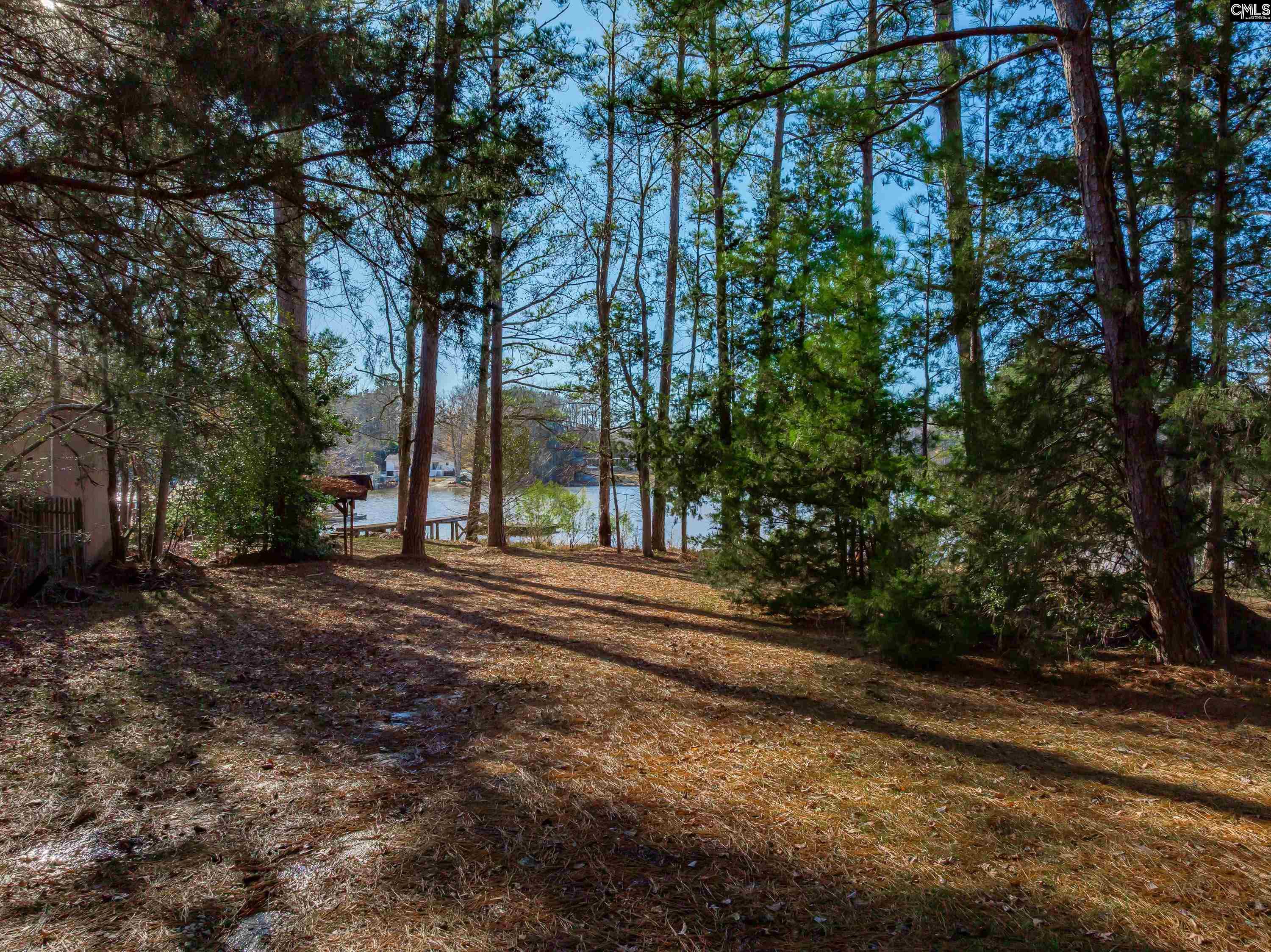 540 Lakeshore Drive Chapin, SC 29036