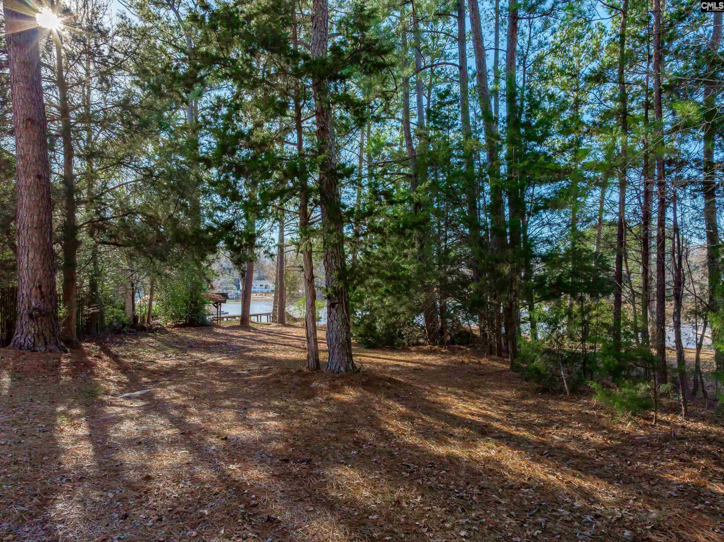 540 Lakeshore Drive Chapin, SC 29036