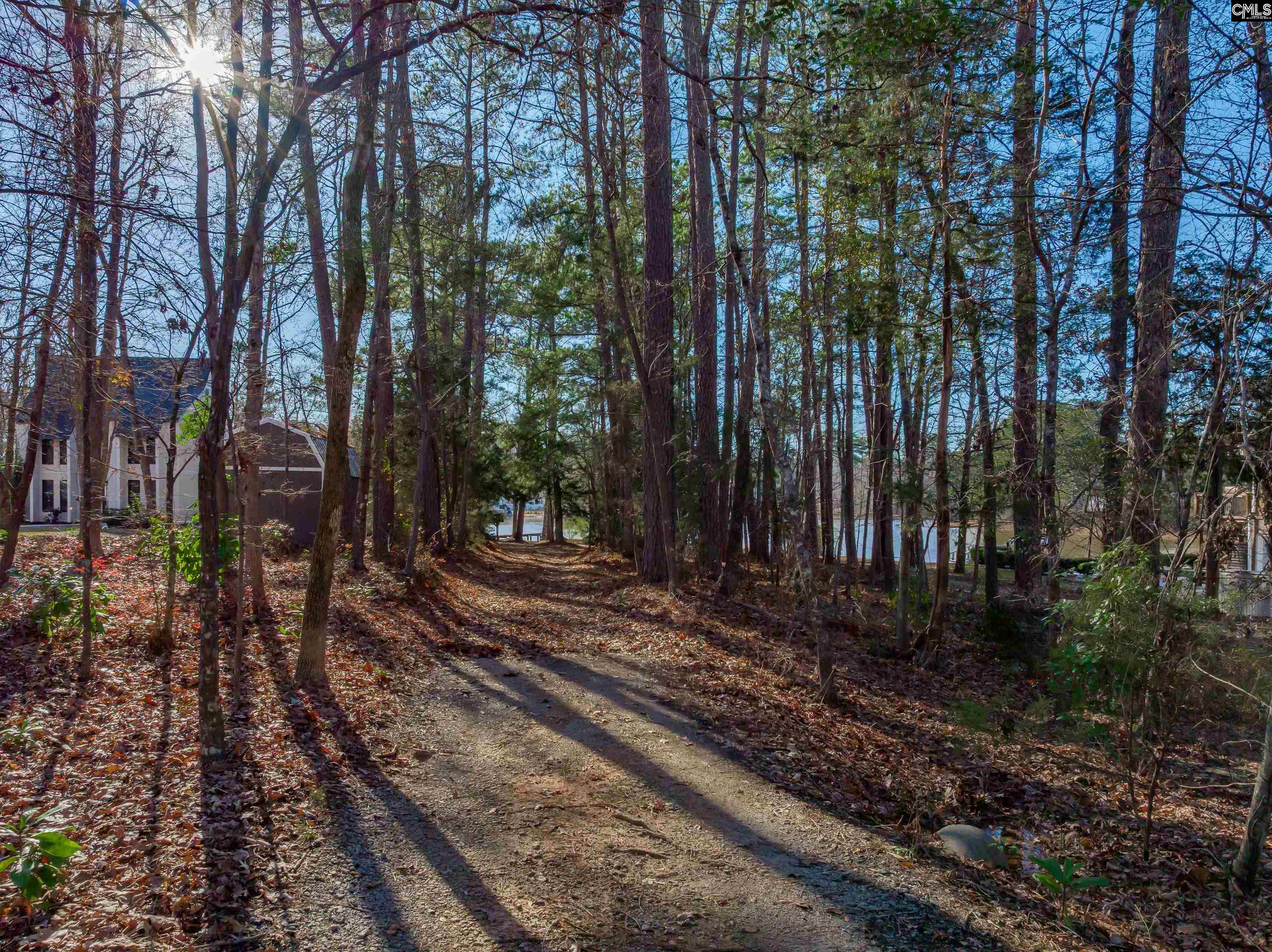 540 Lakeshore Drive Chapin, SC 29036