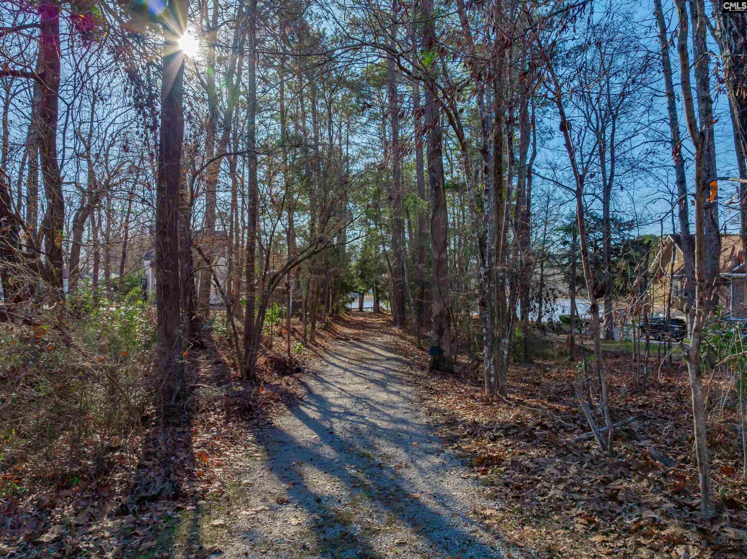 540 Lakeshore Drive Chapin, SC 29036