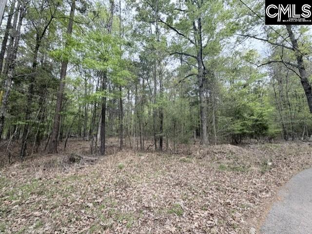 Kennerly Road Irmo, SC 29063