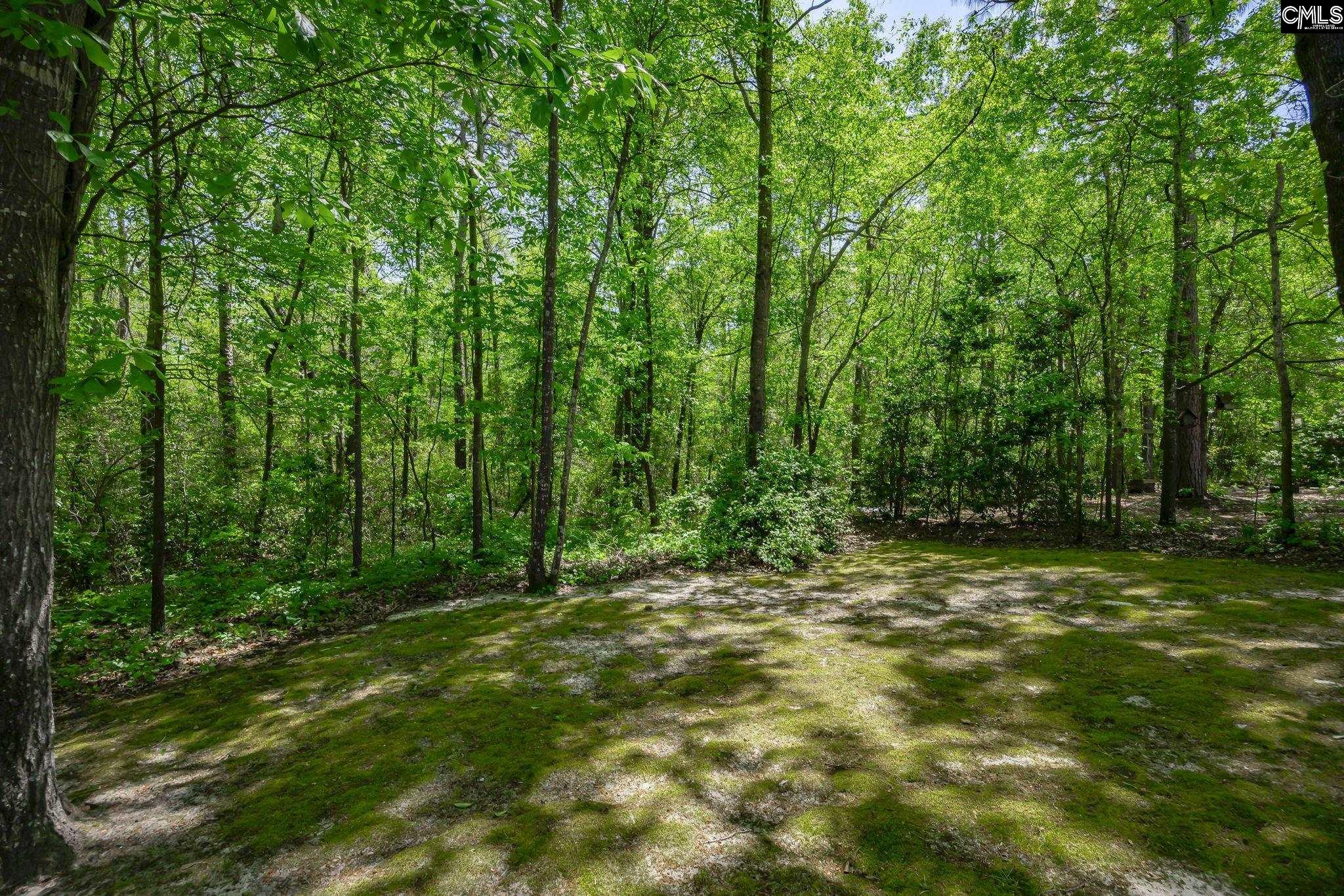 124 Cobblers Glen Court Lexington, SC 29072