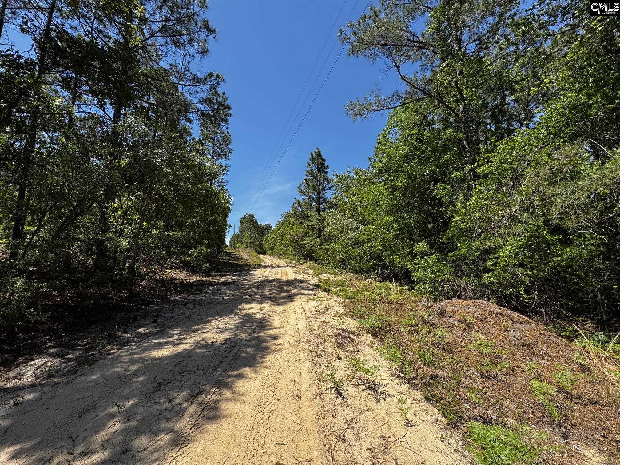 Sawyer Road Monetta, SC 29105