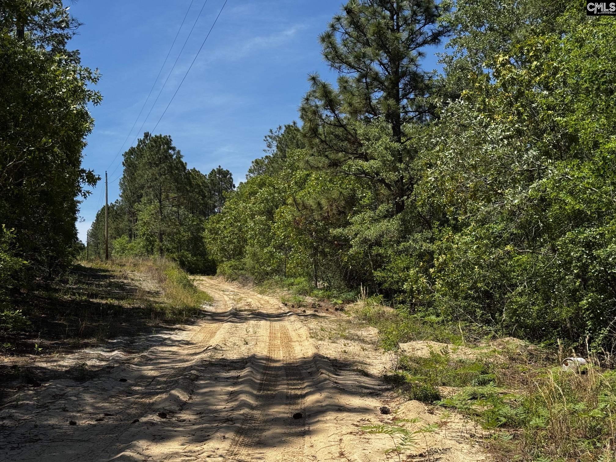 Sawyer Road Monetta, SC 29105