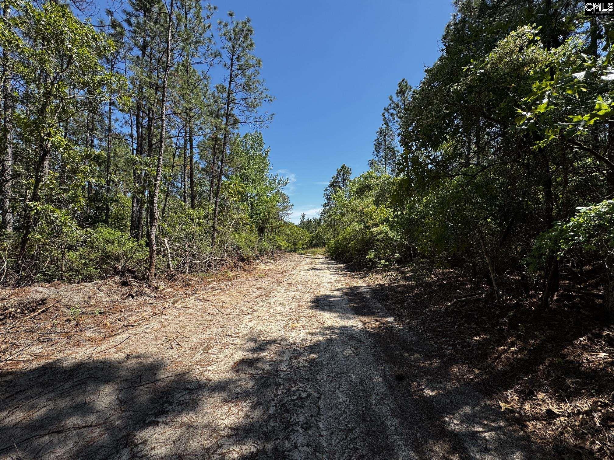 Sawyer Road Monetta, SC 29105