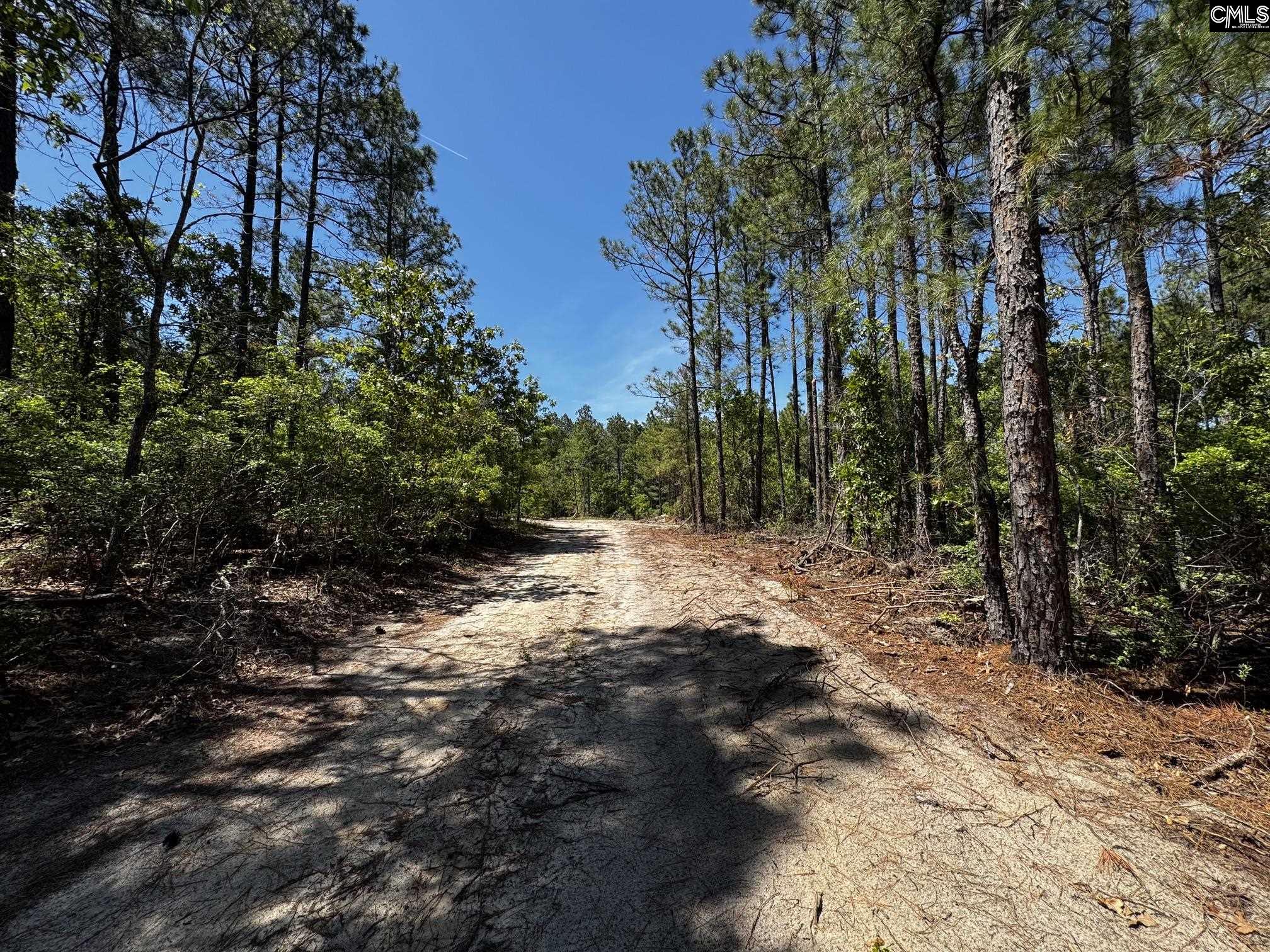Sawyer Road Monetta, SC 29105