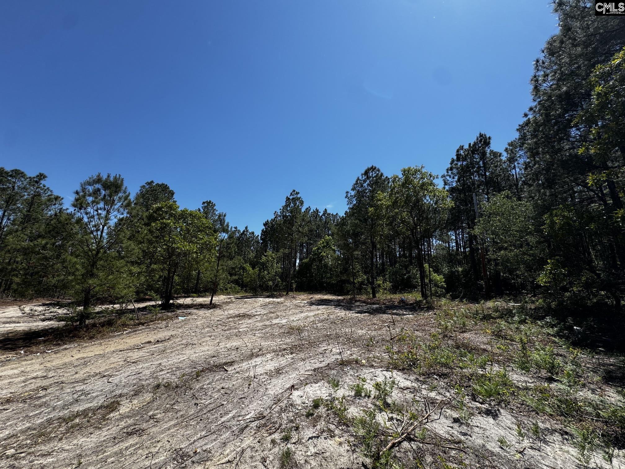 Sawyer Road Monetta, SC 29105
