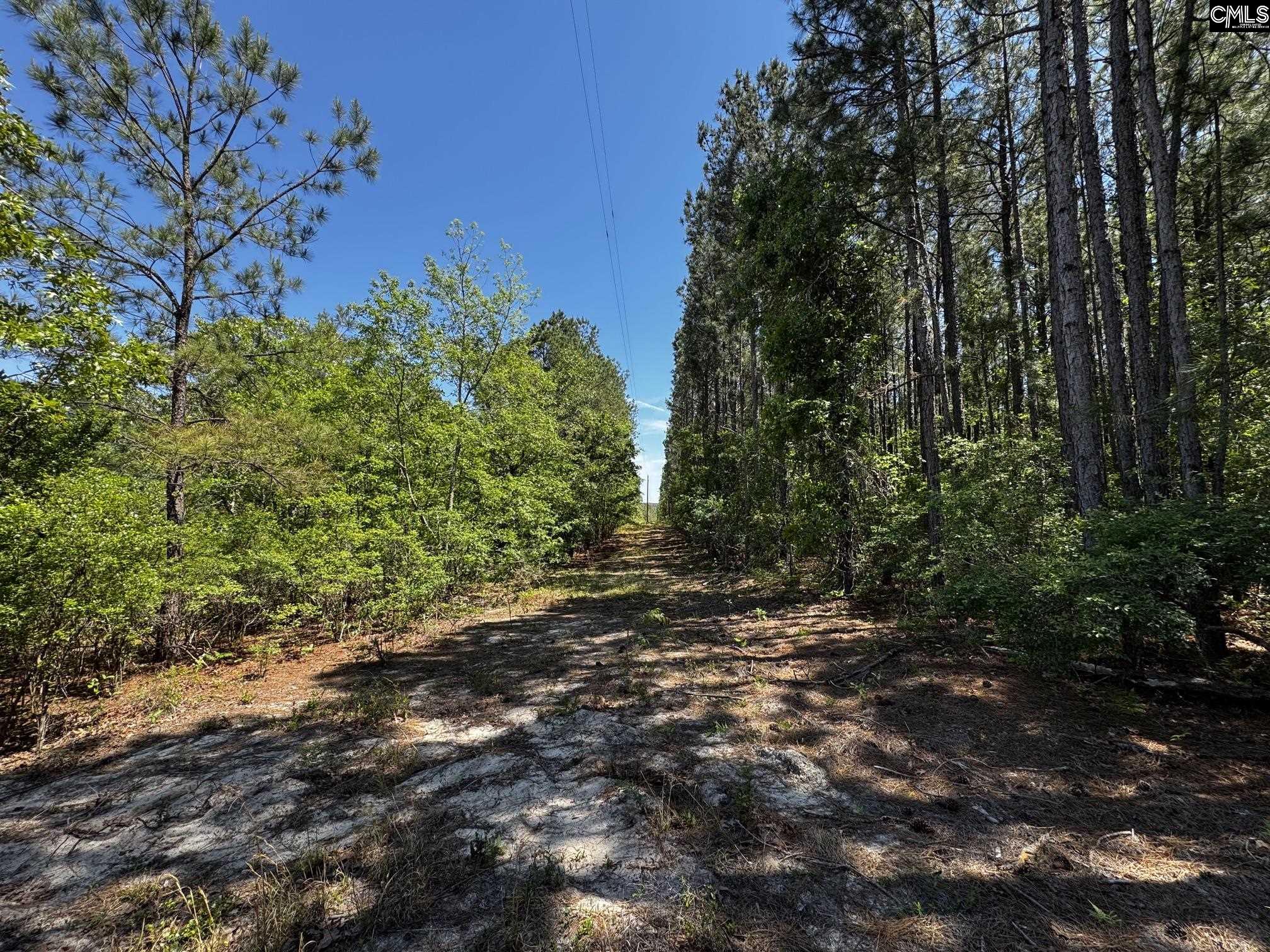 Sawyer Road Monetta, SC 29105
