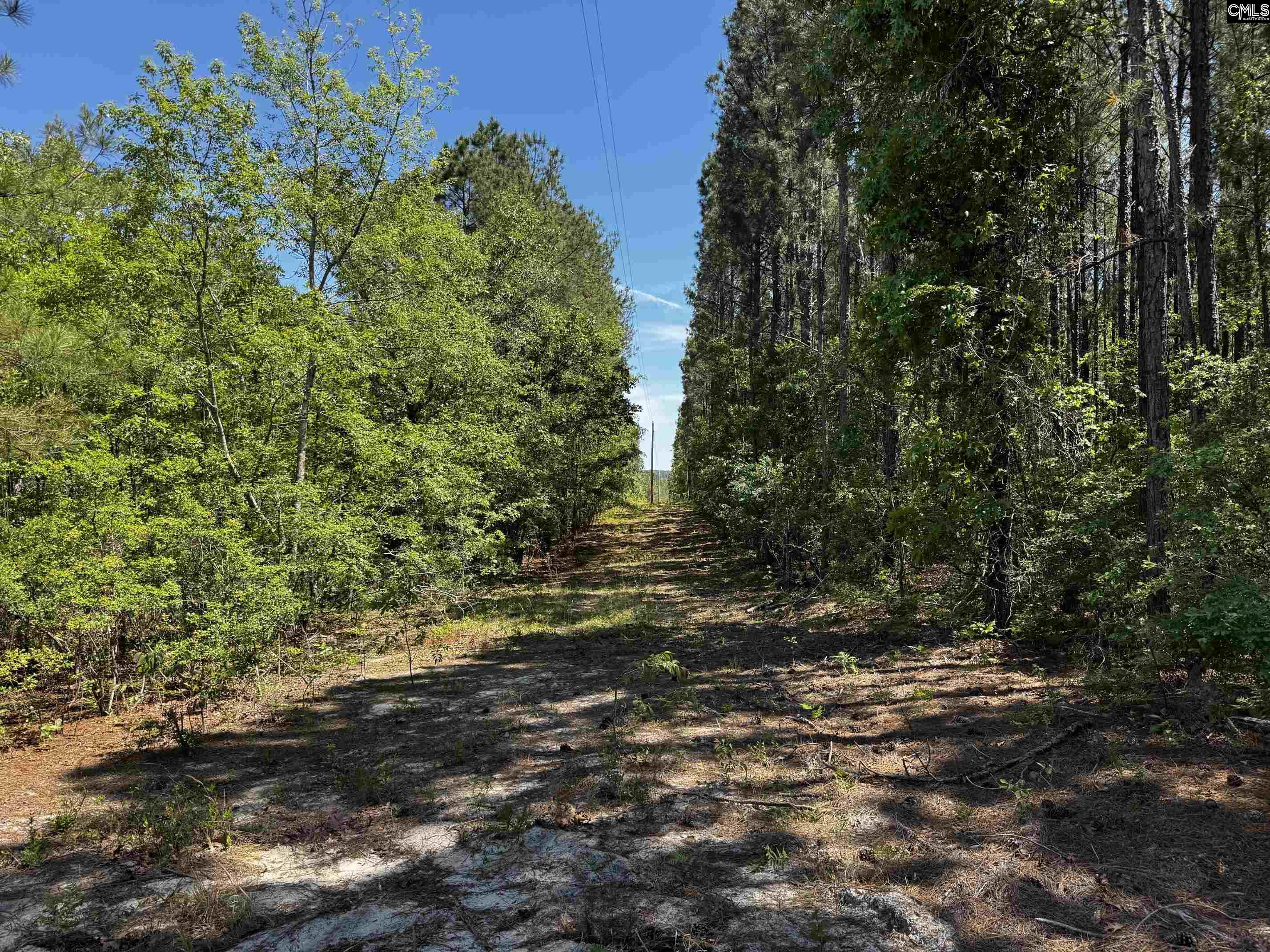 Sawyer Road Monetta, SC 29105