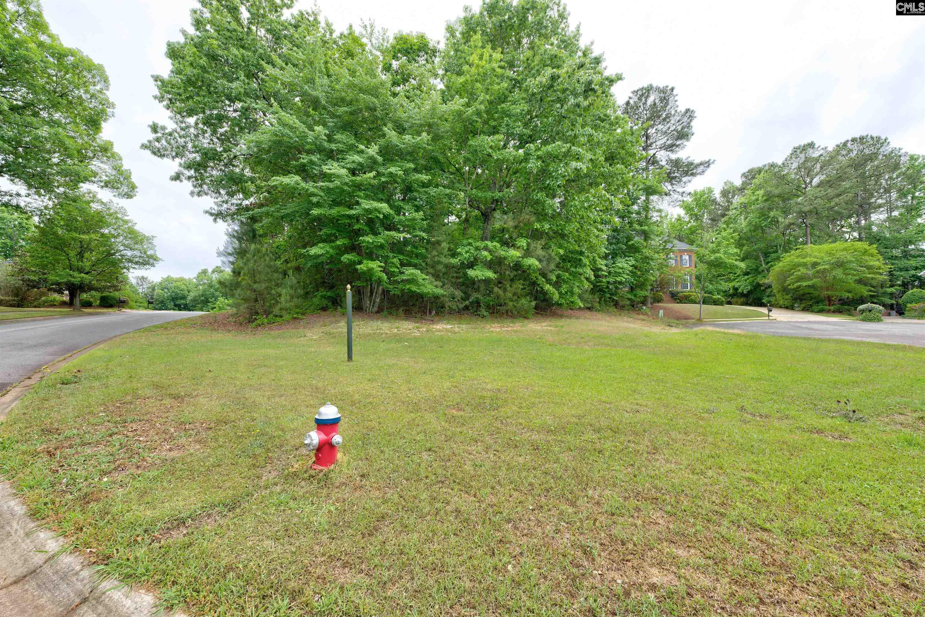 1 Aderley Court Irmo, SC 29063