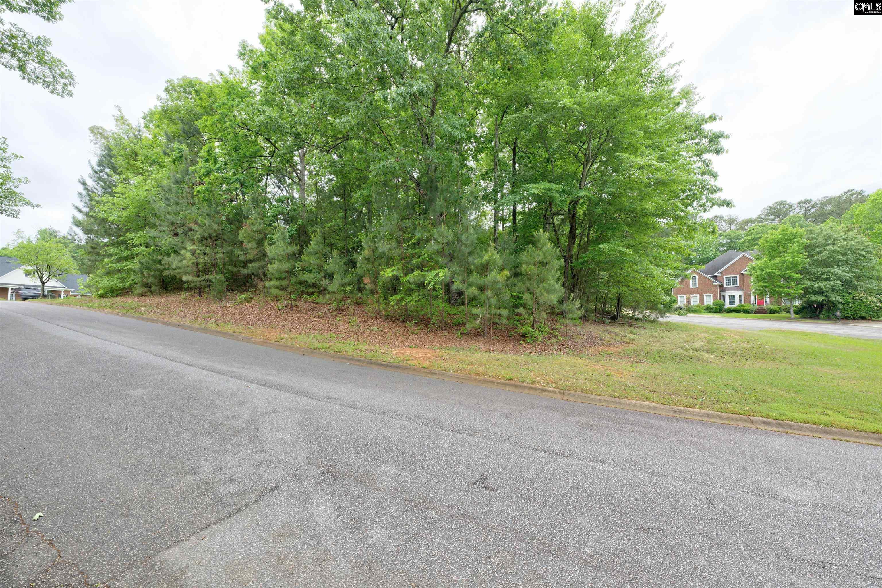 1 Aderley Court Irmo, SC 29063
