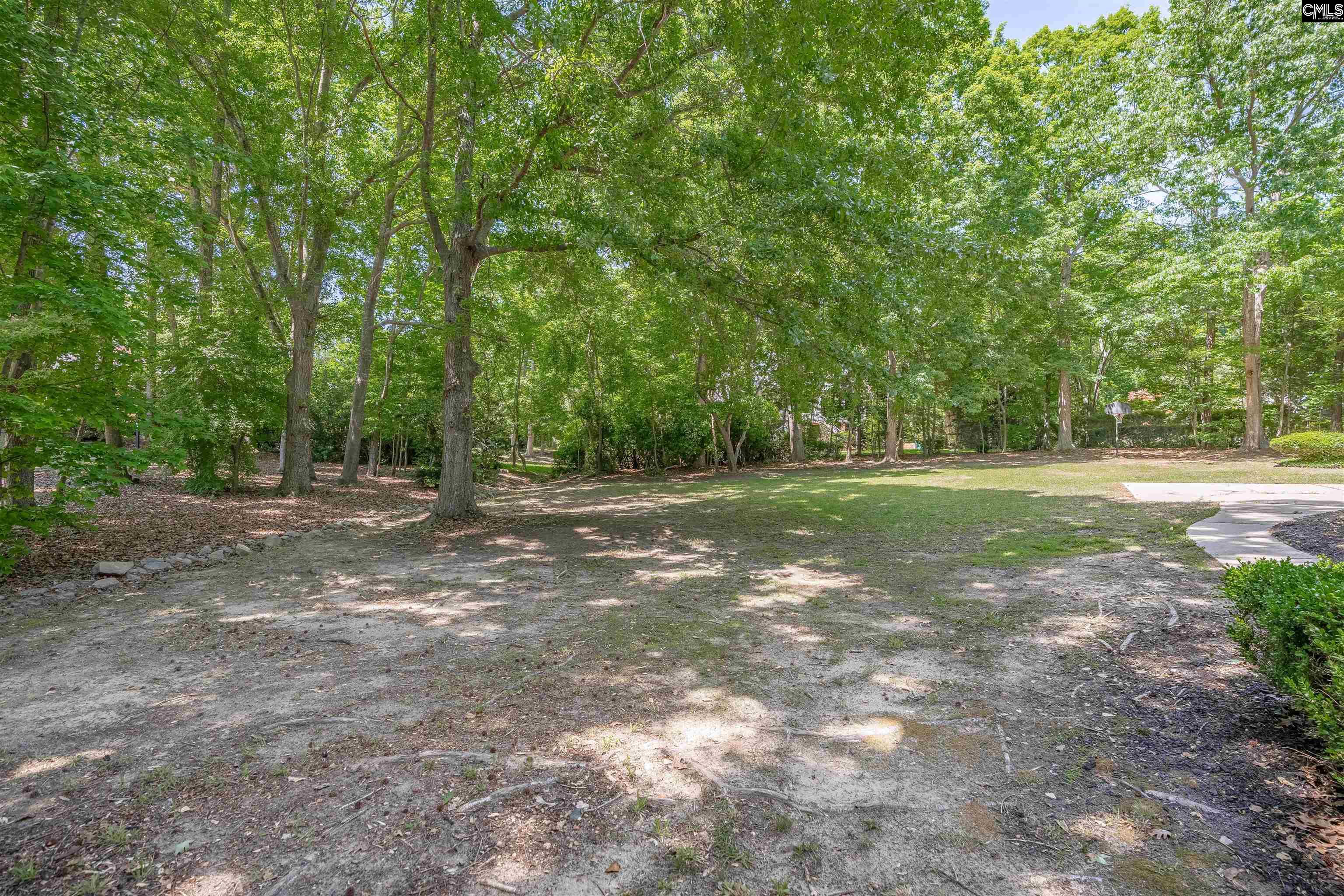 129 Ashley Hills Drive Lexington, SC 29072