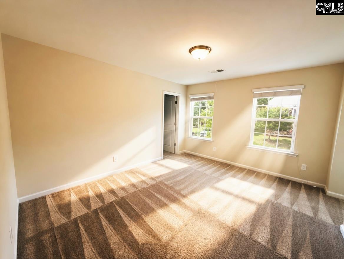 801 Kimsey Drive Chapin, SC 29036