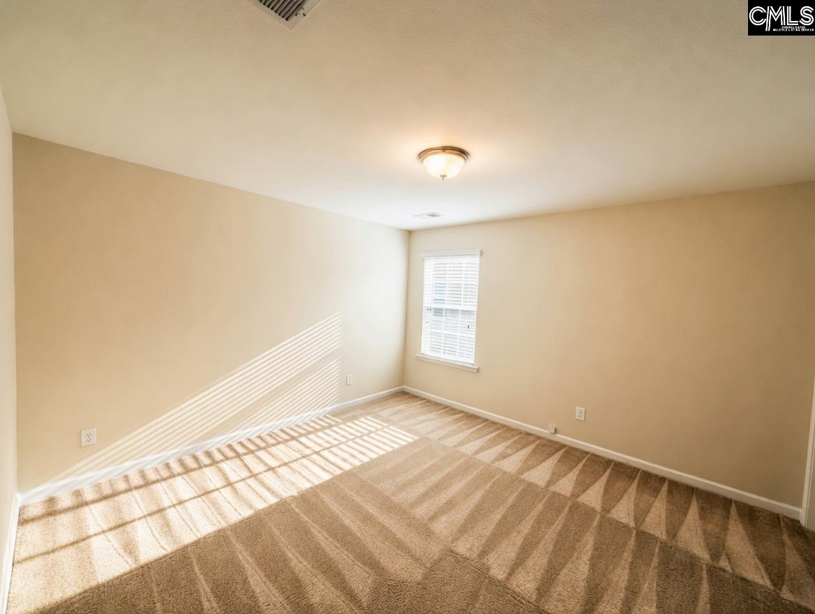 801 Kimsey Drive Chapin, SC 29036