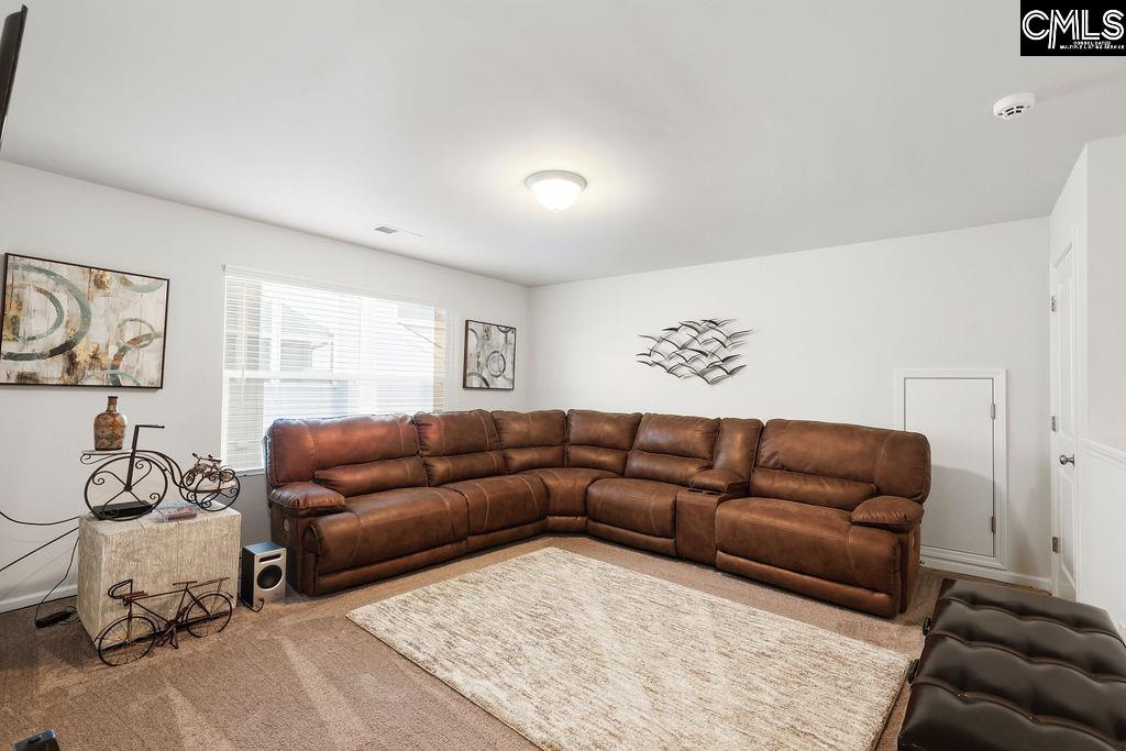 1925 Cold Rocks Way Lexington, SC 29073-0000