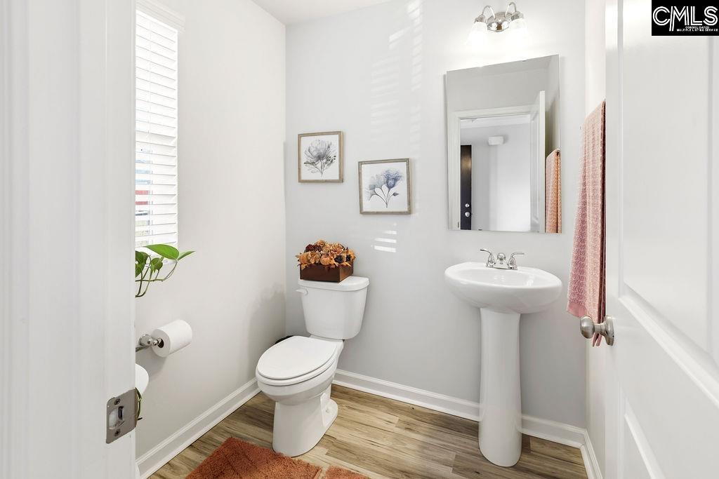 1925 Cold Rocks Way Lexington, SC 29073-0000
