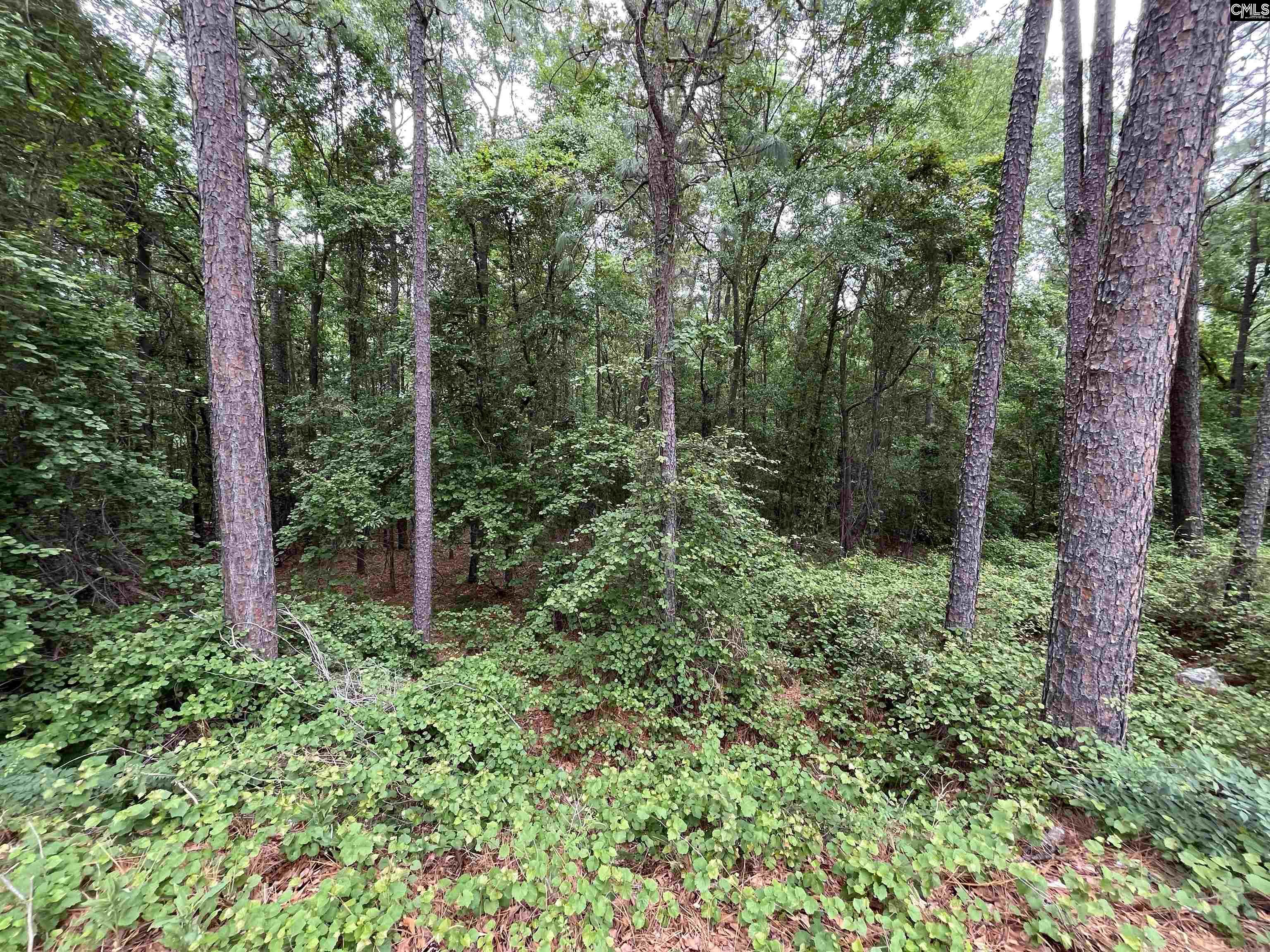 7008 Monticello Road Columbia, SC 29203