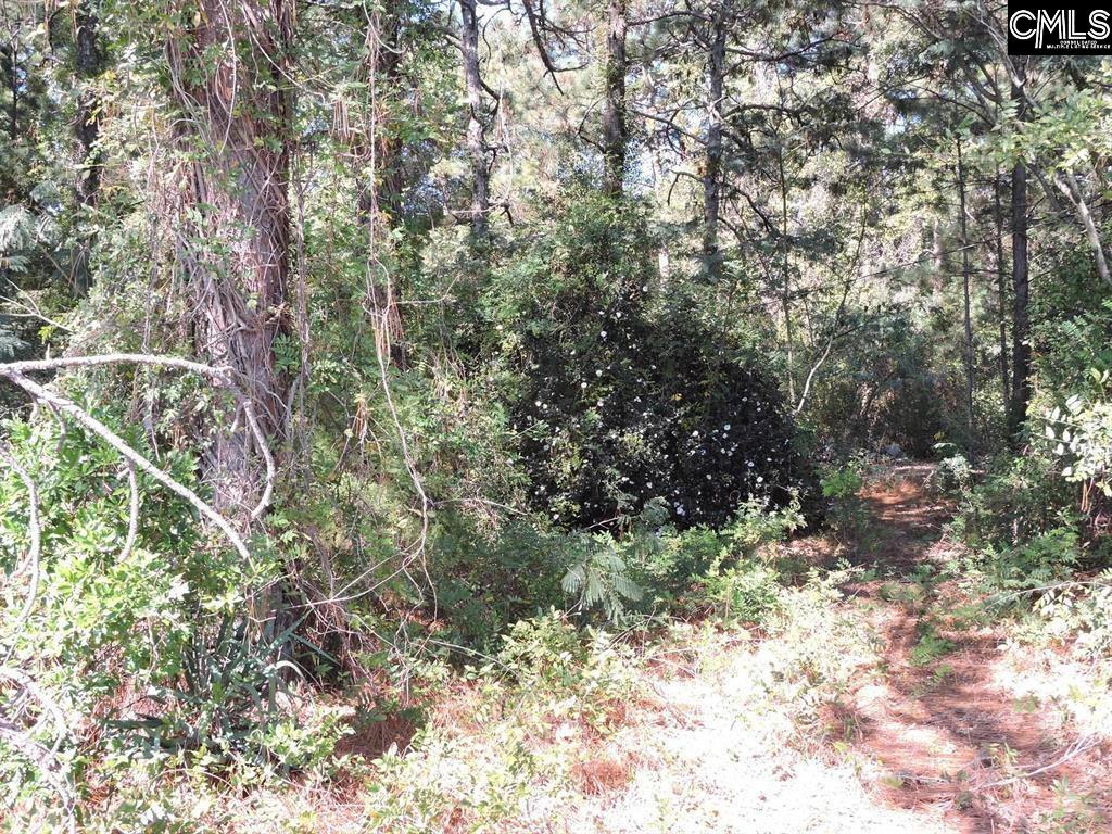 1250 South Lake Dr. Lexington, SC 29073