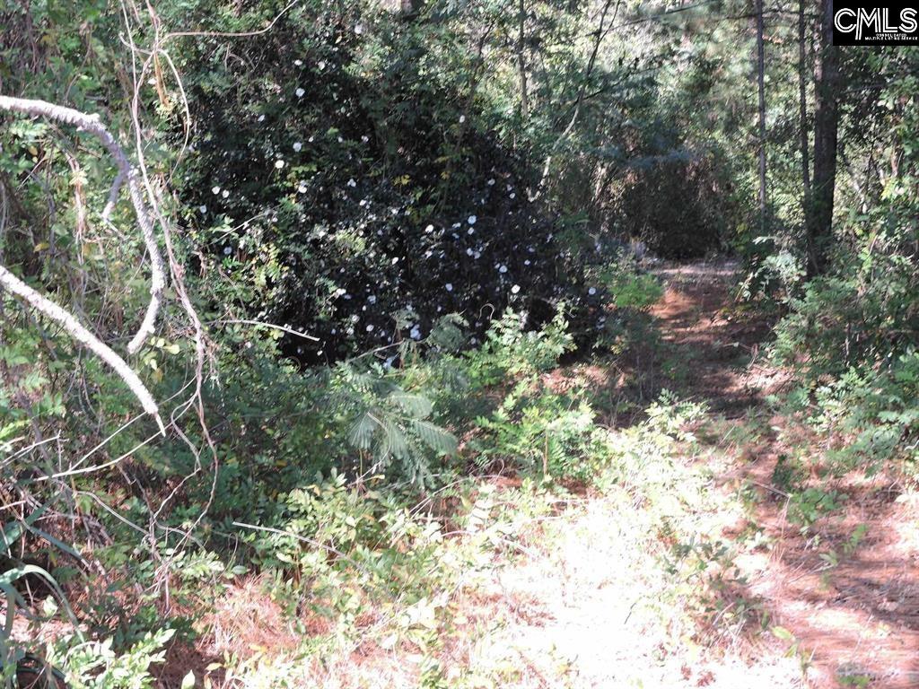 1250 South Lake Dr. Lexington, SC 29073
